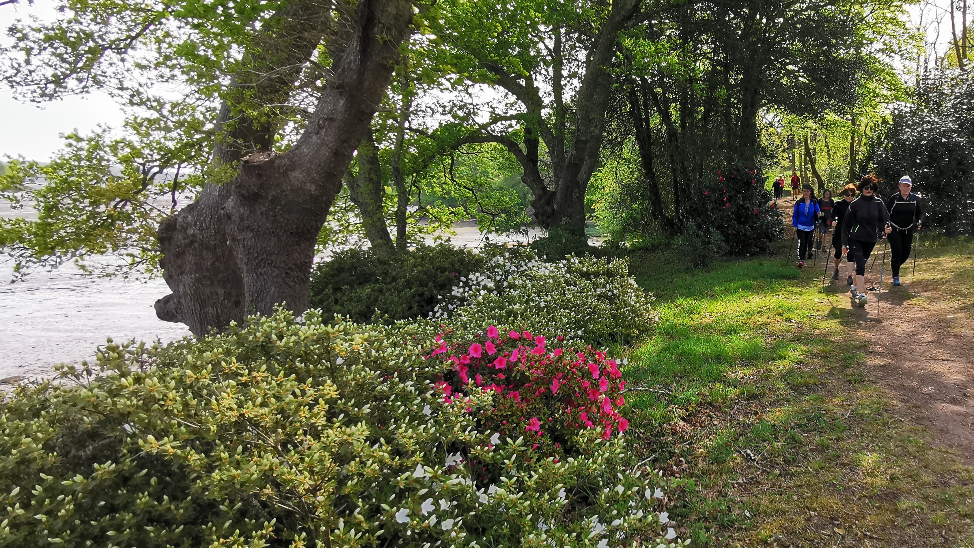 82-IMG_20210425_112104