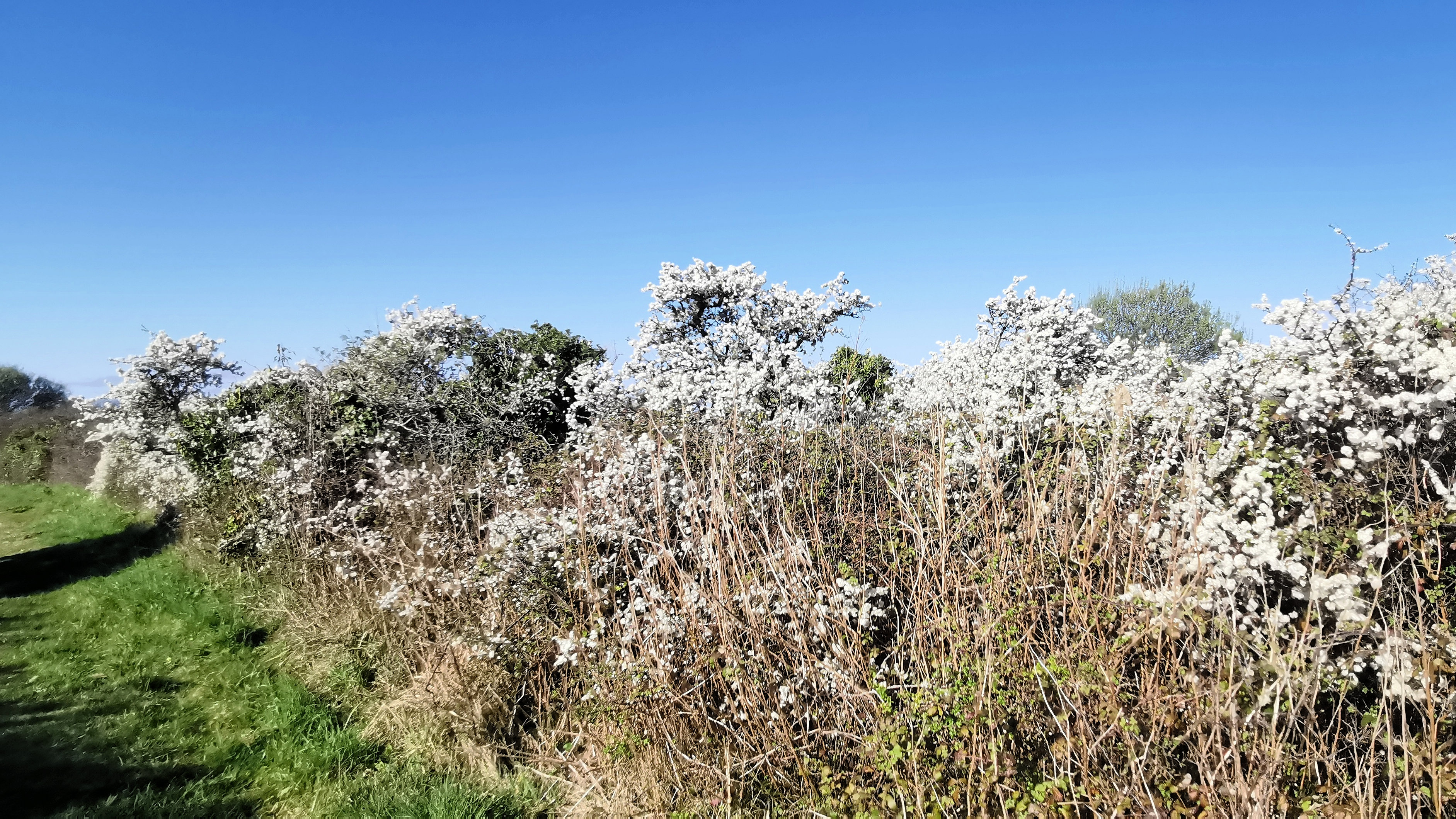 26-IMG_20210403_104411