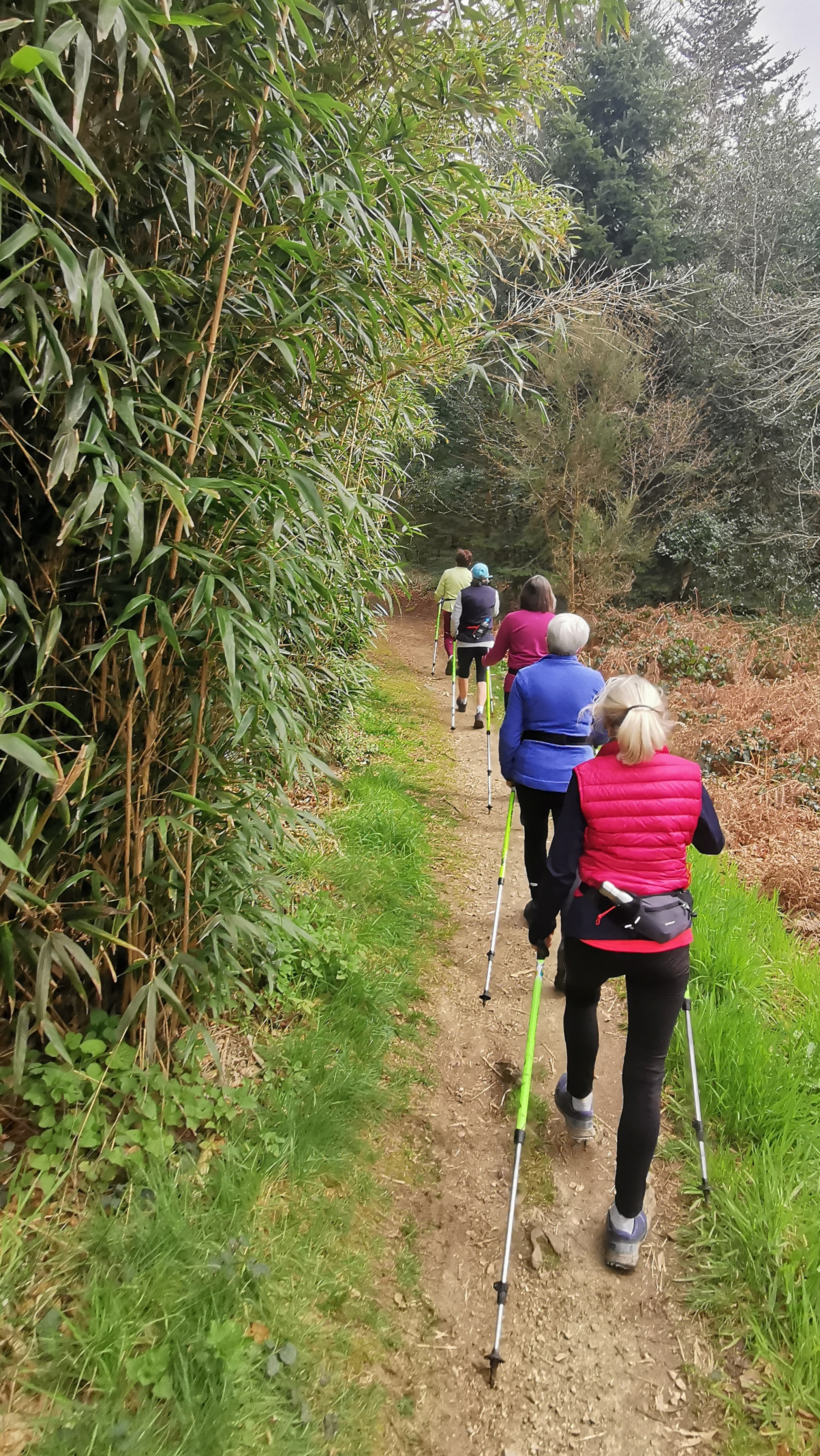 13-IMG_20210323_110256_1