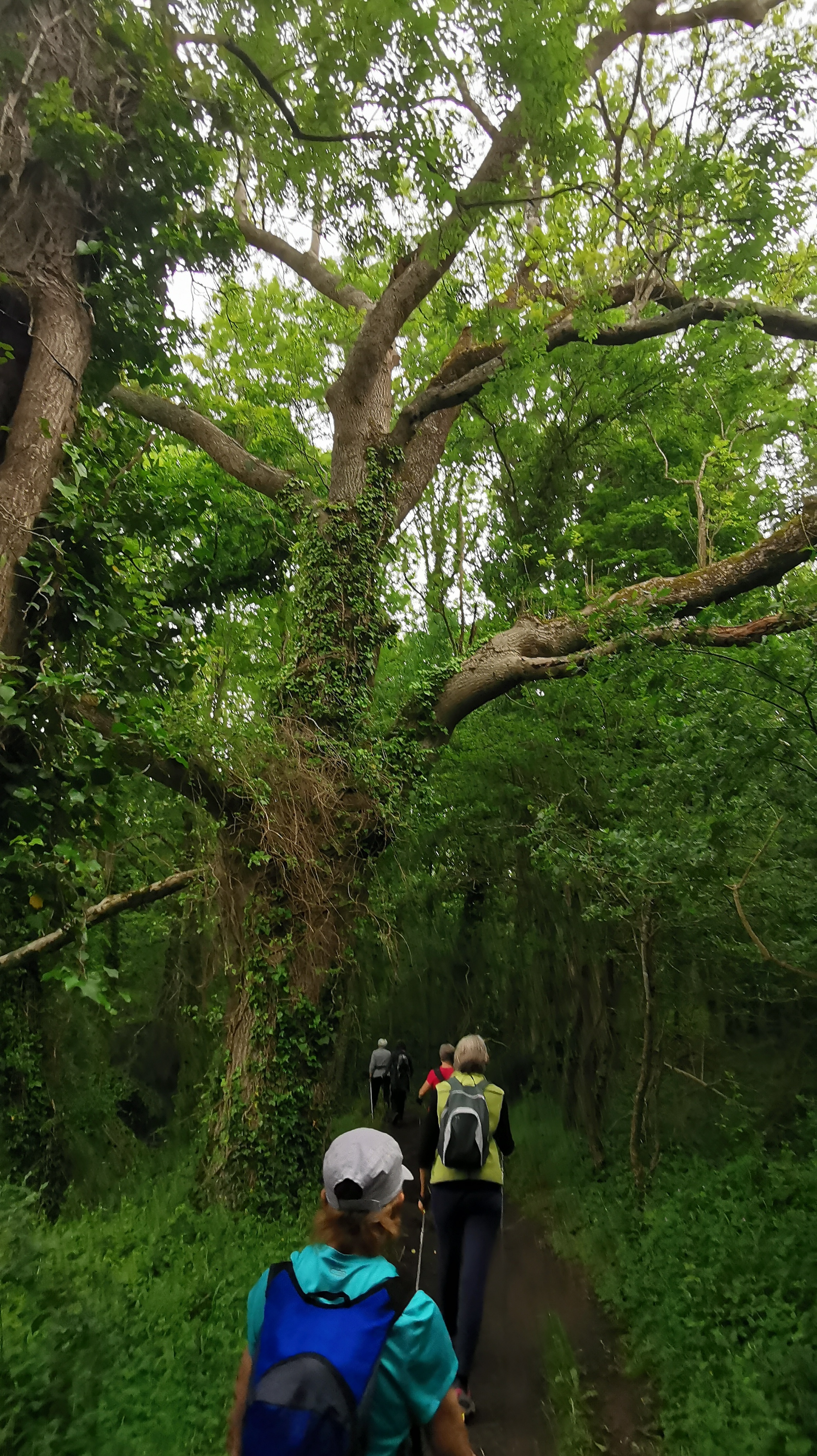 36-IMG_20210527_110944