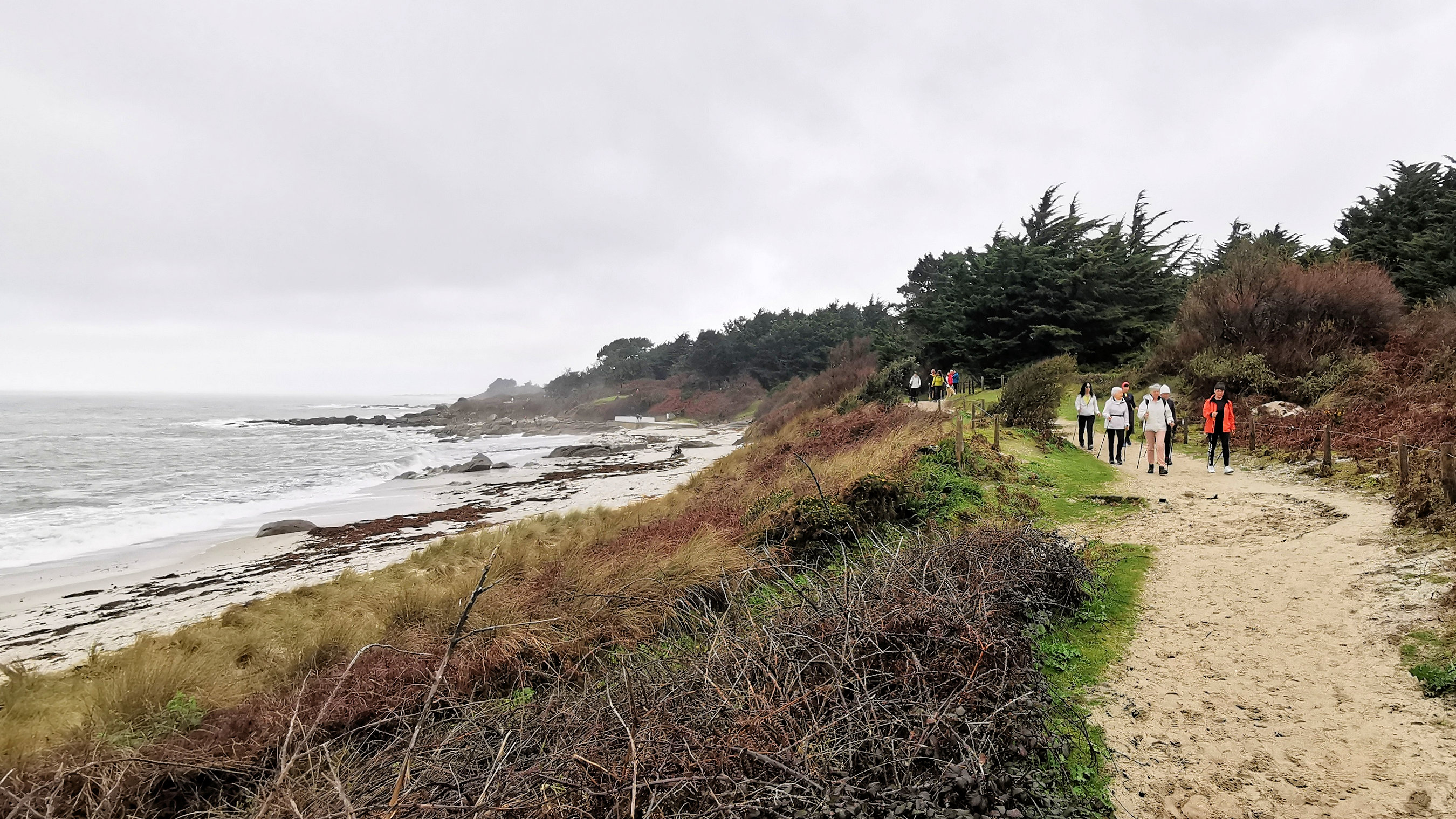 27-IMG_20210221_104909