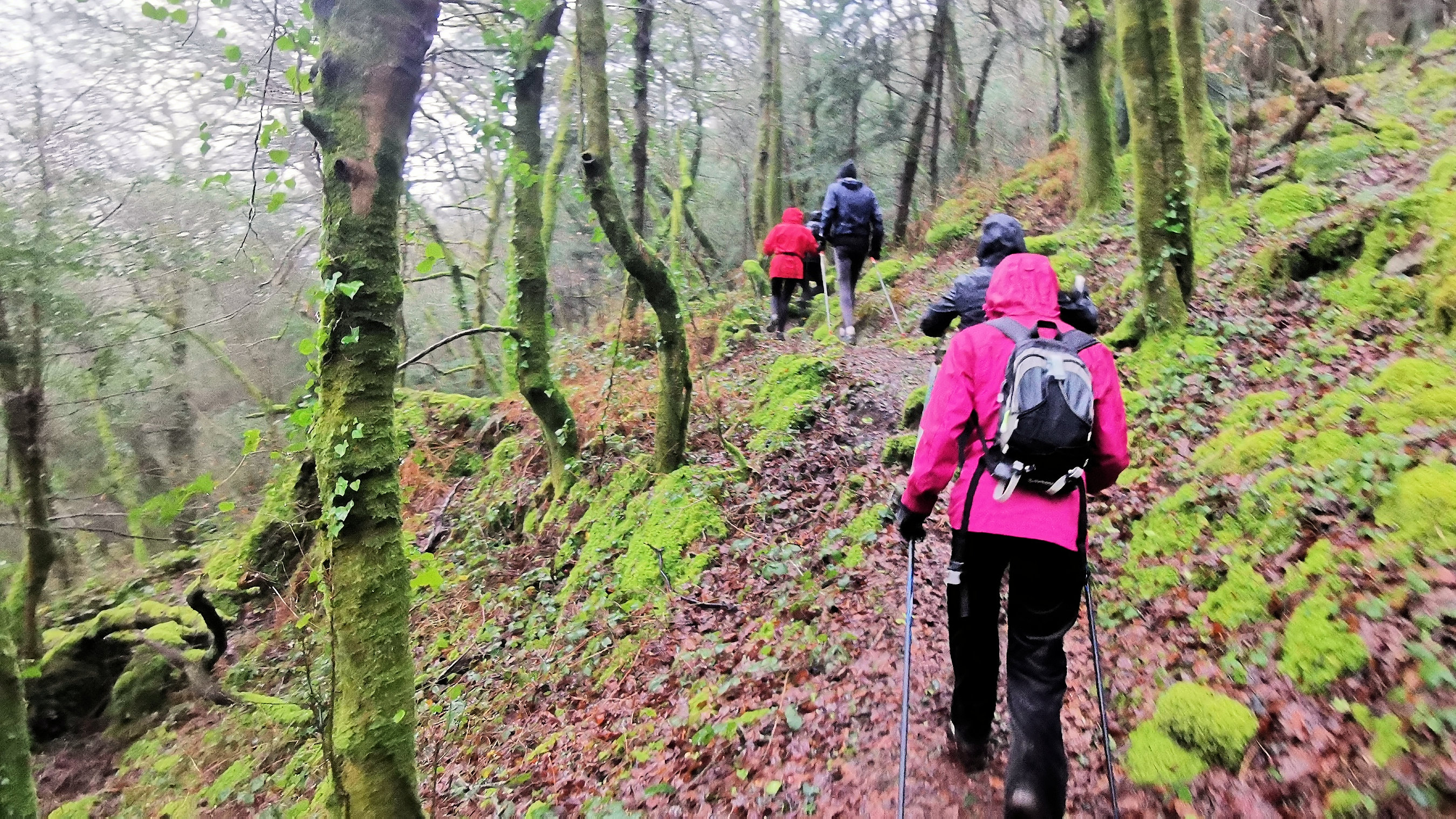 74-IMG_20210121_114015