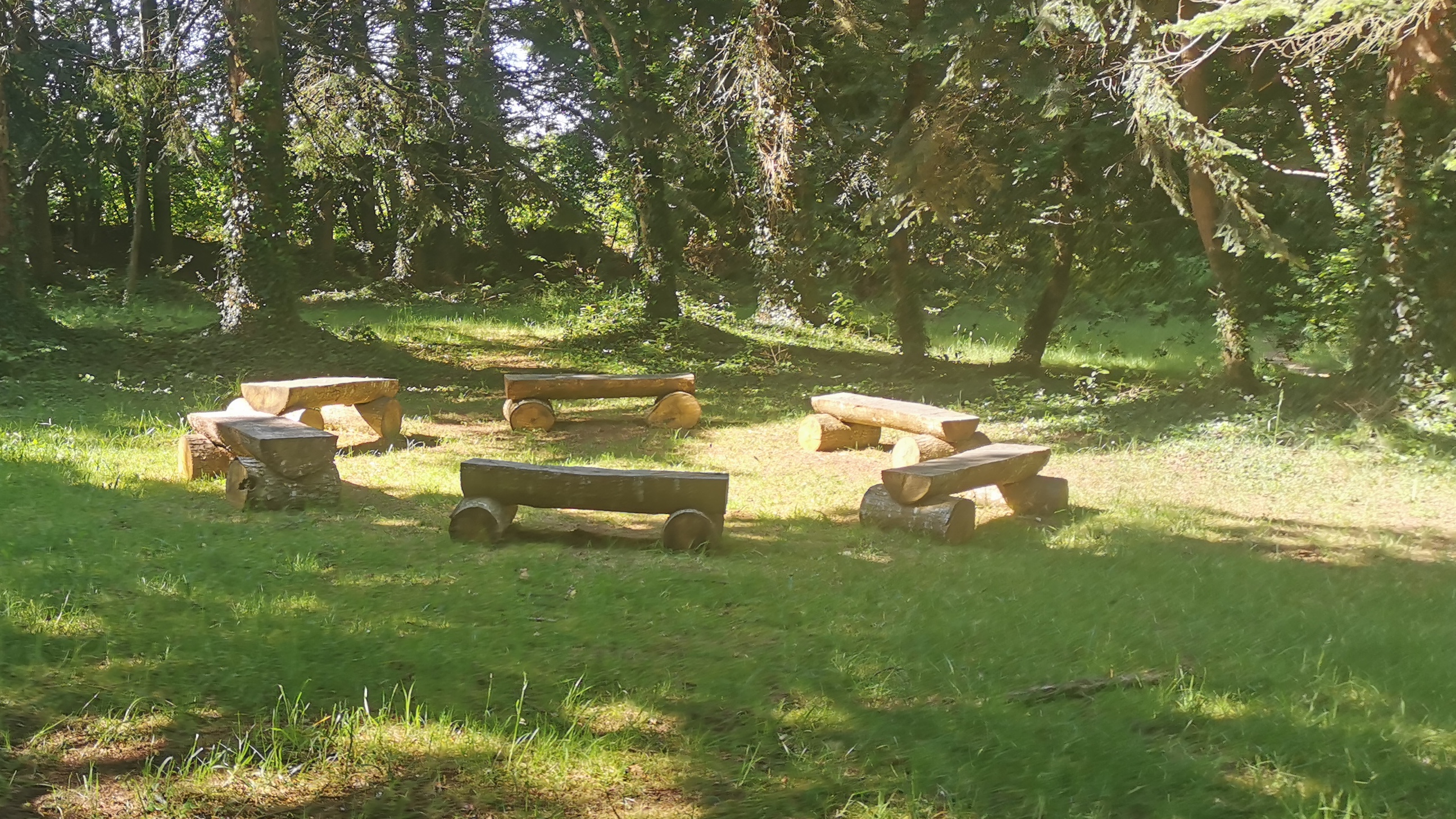 29-IMG_20210531_104748