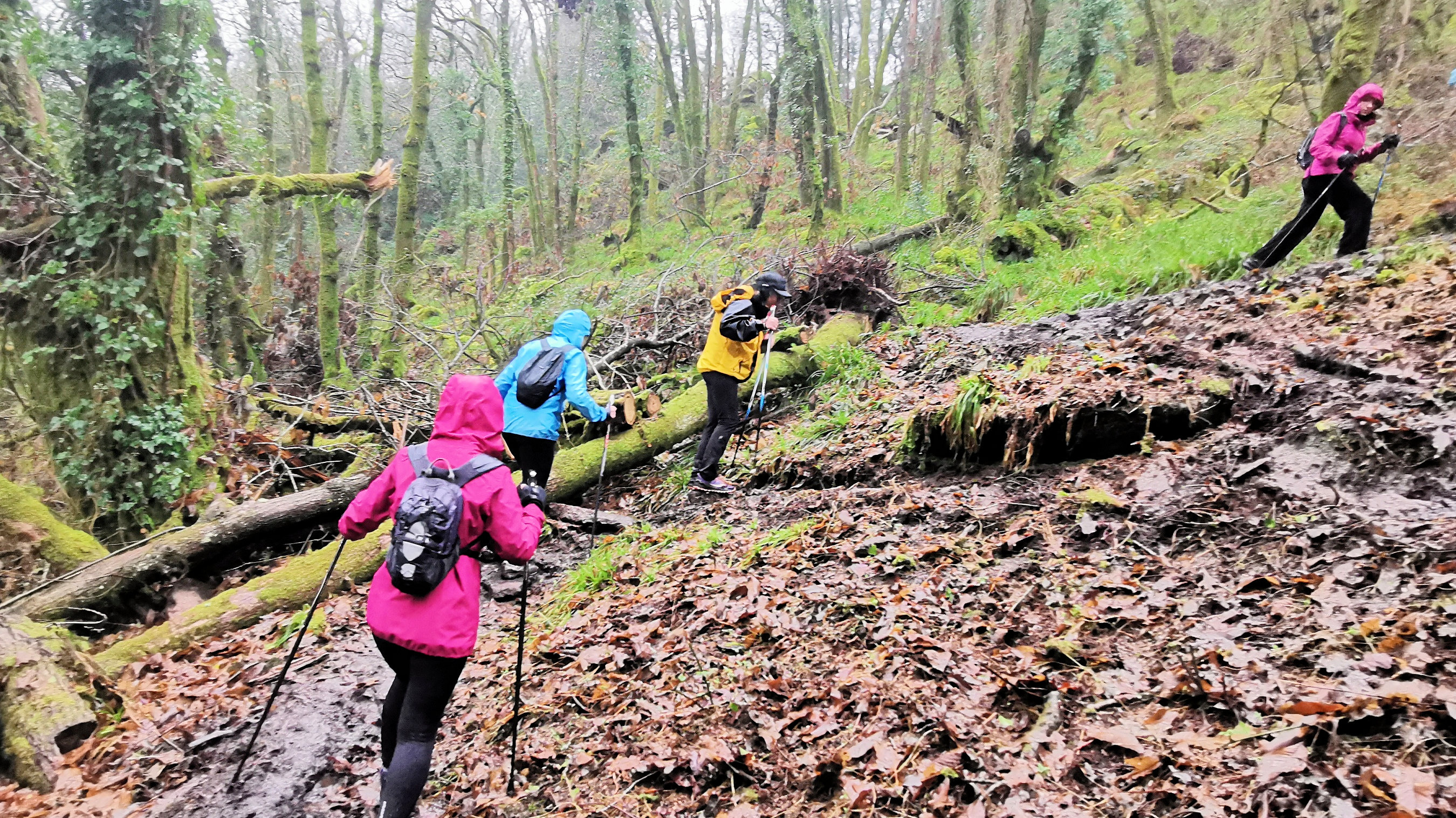 57-IMG_20210121_112933