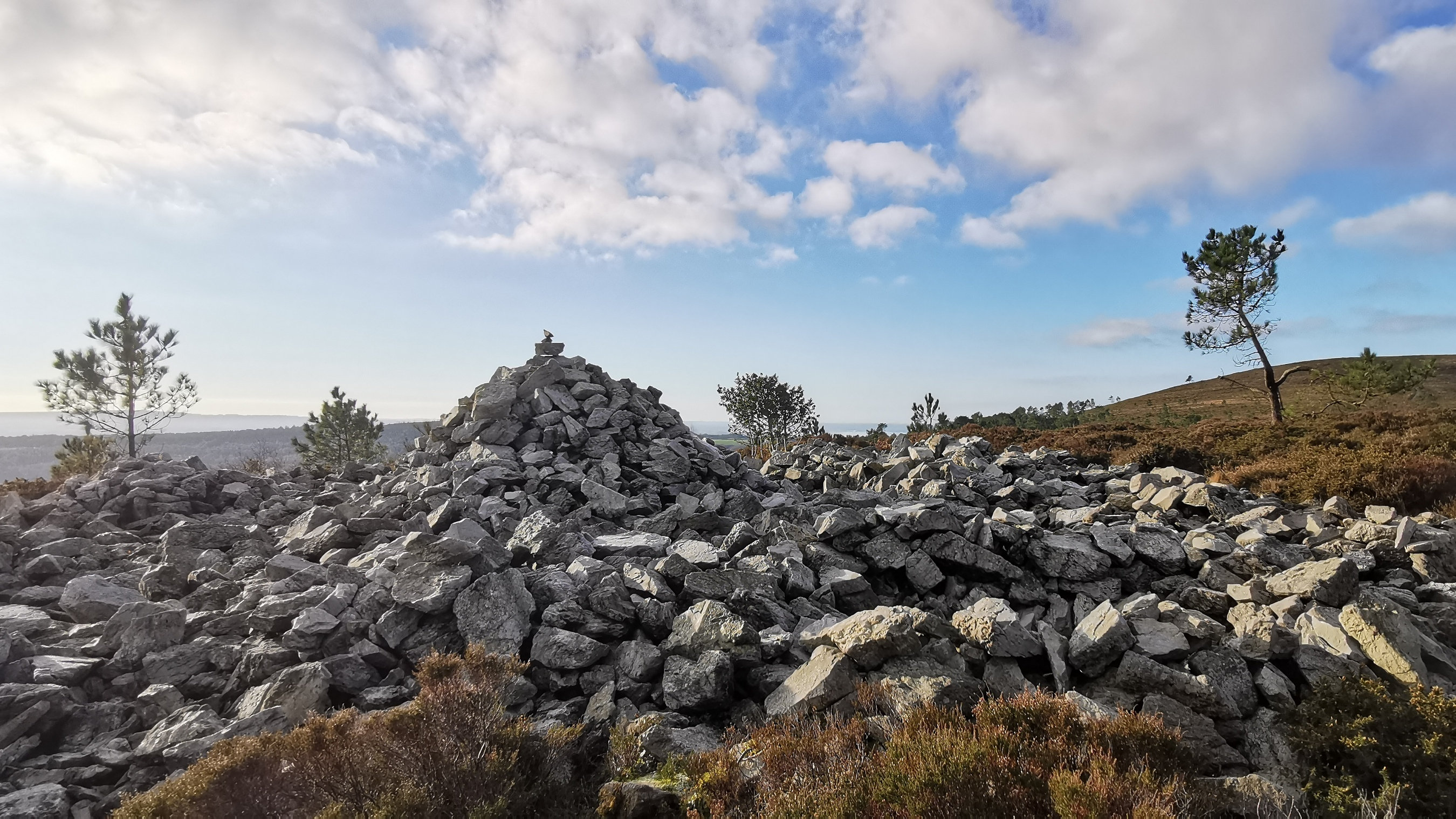 098-IMG_20210110_105948