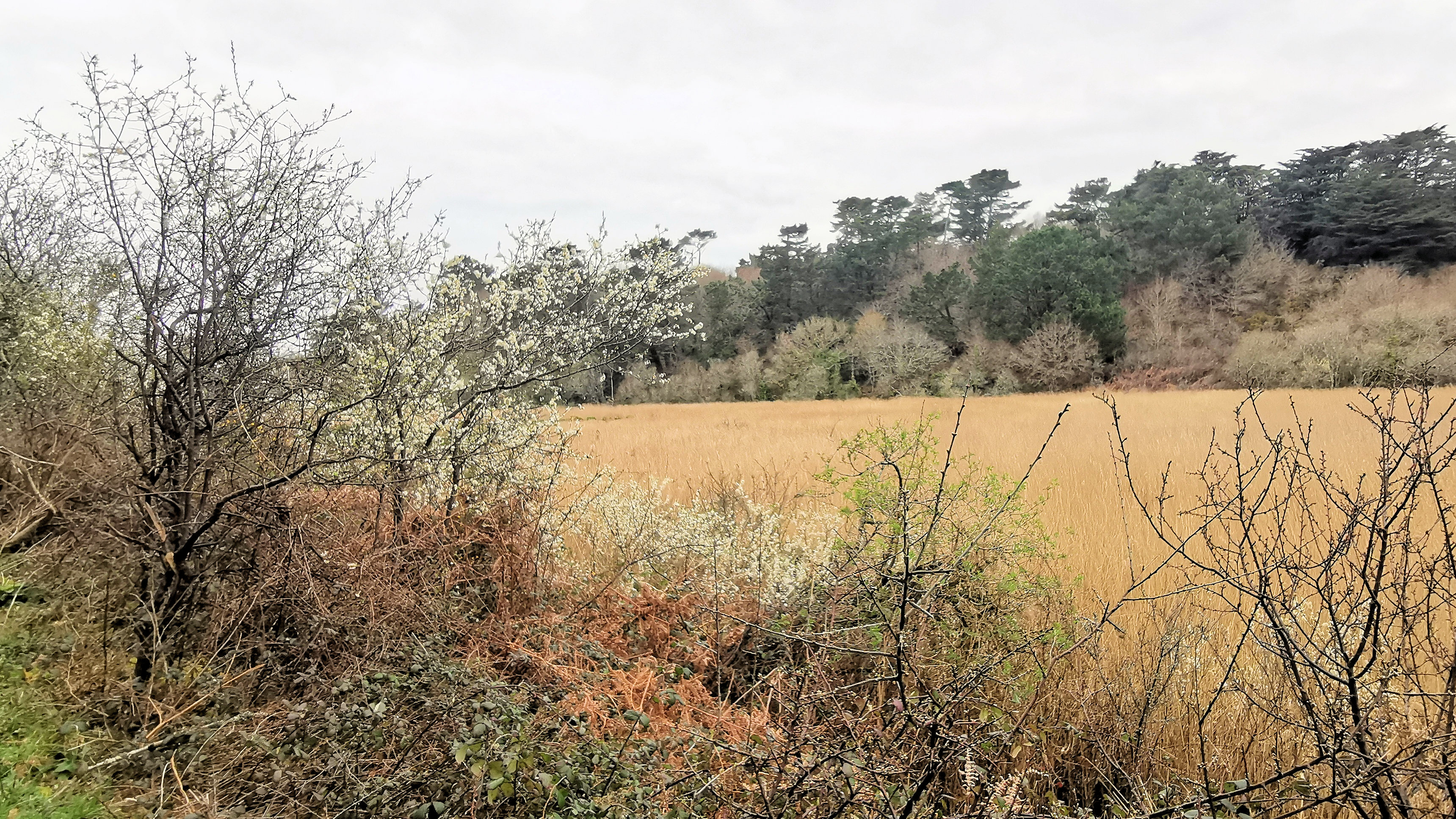 31-IMG_20210321_101428