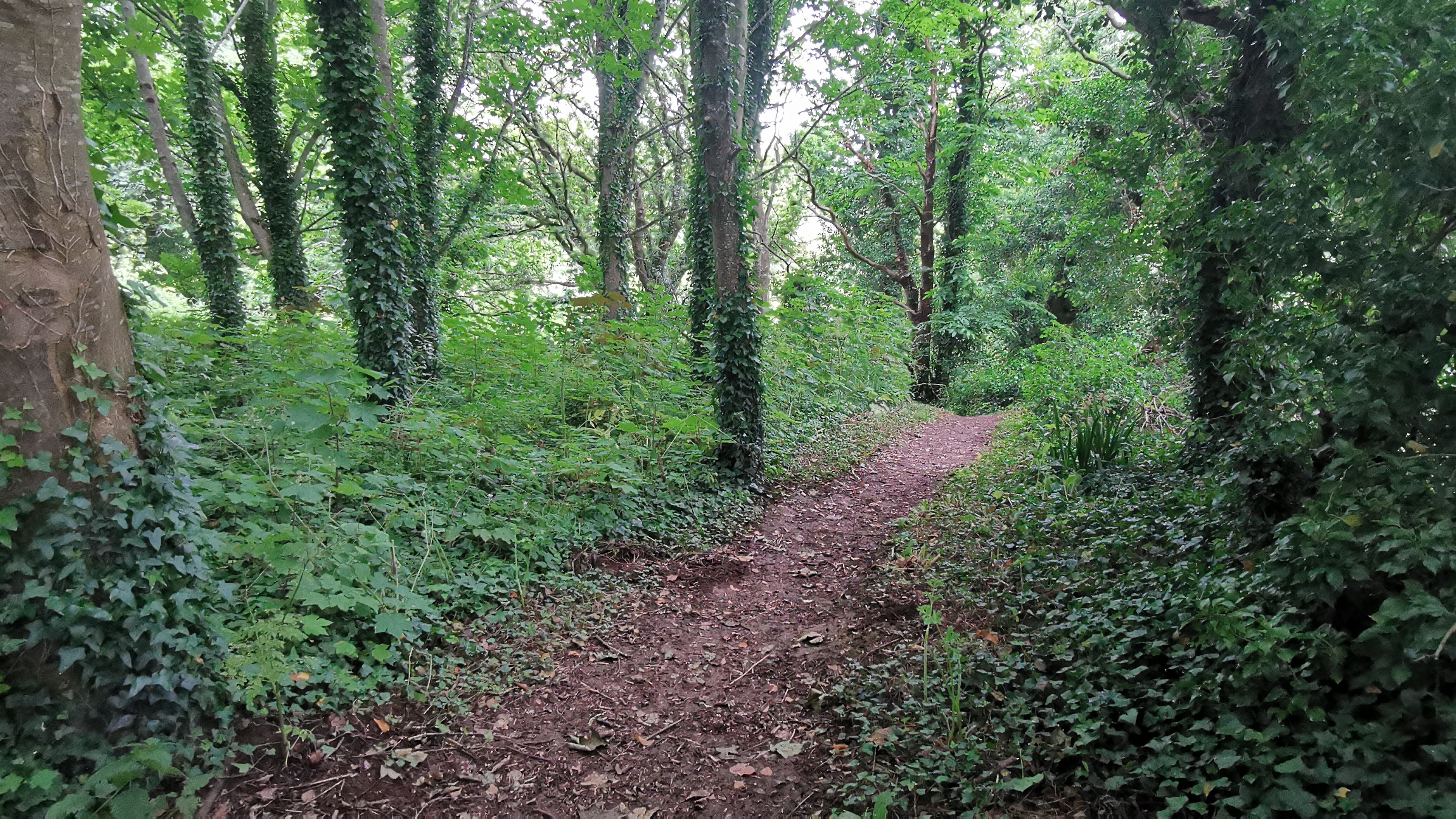 152-IMG_20210620_113734