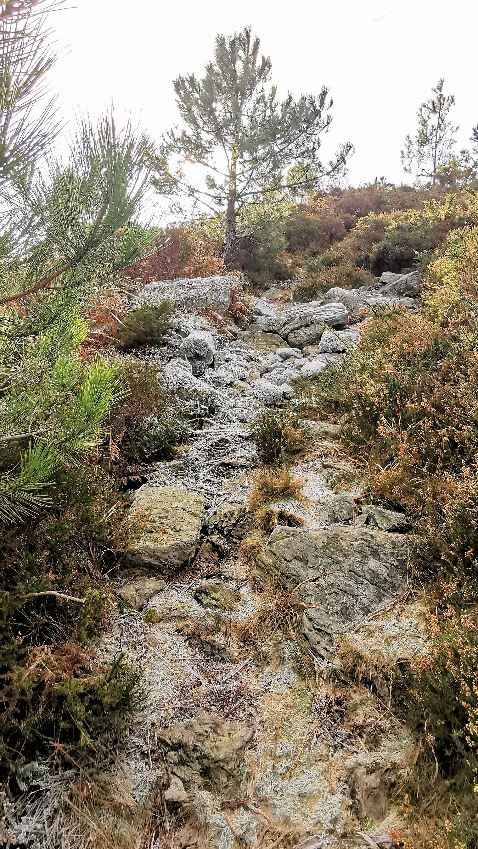 095-IMG_20210110_105755