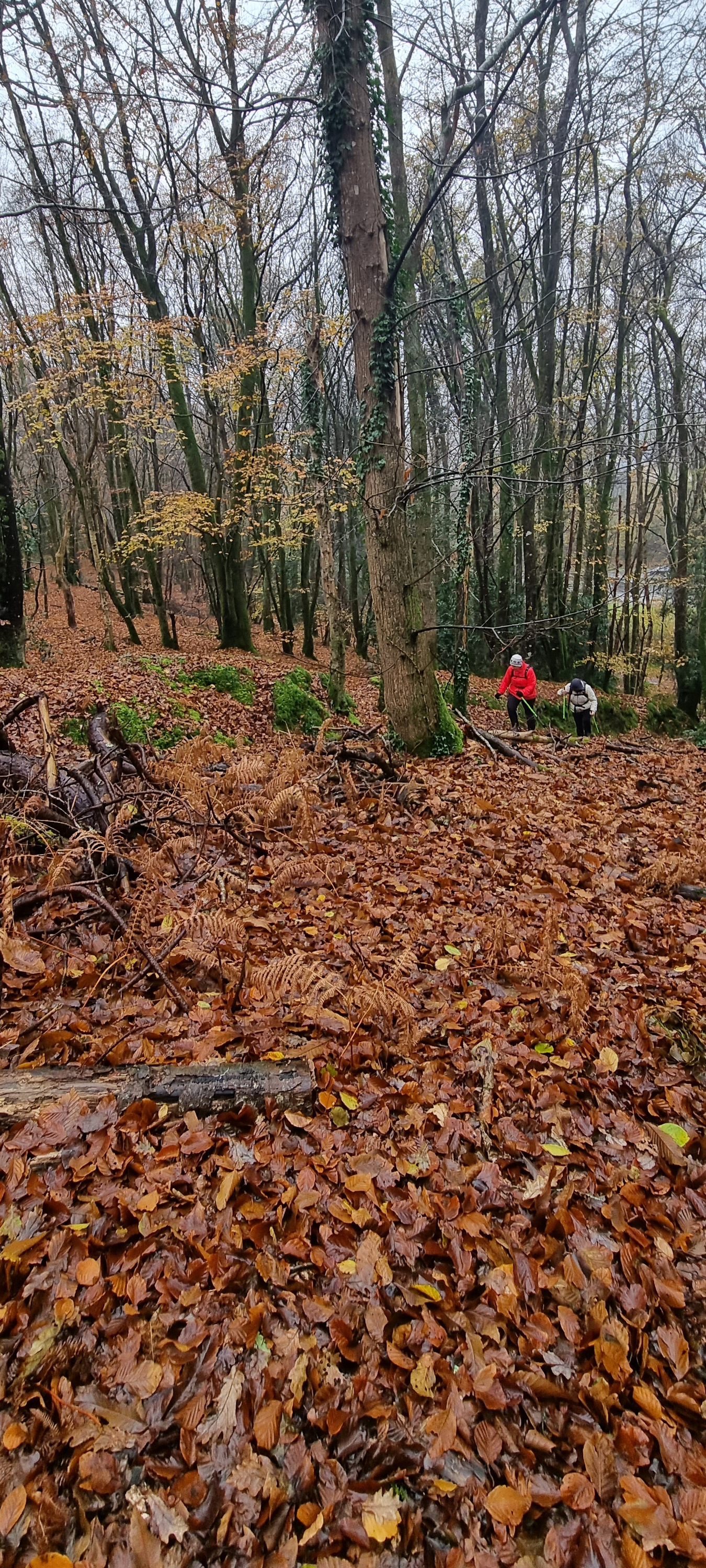 06-20211206_102016(0)