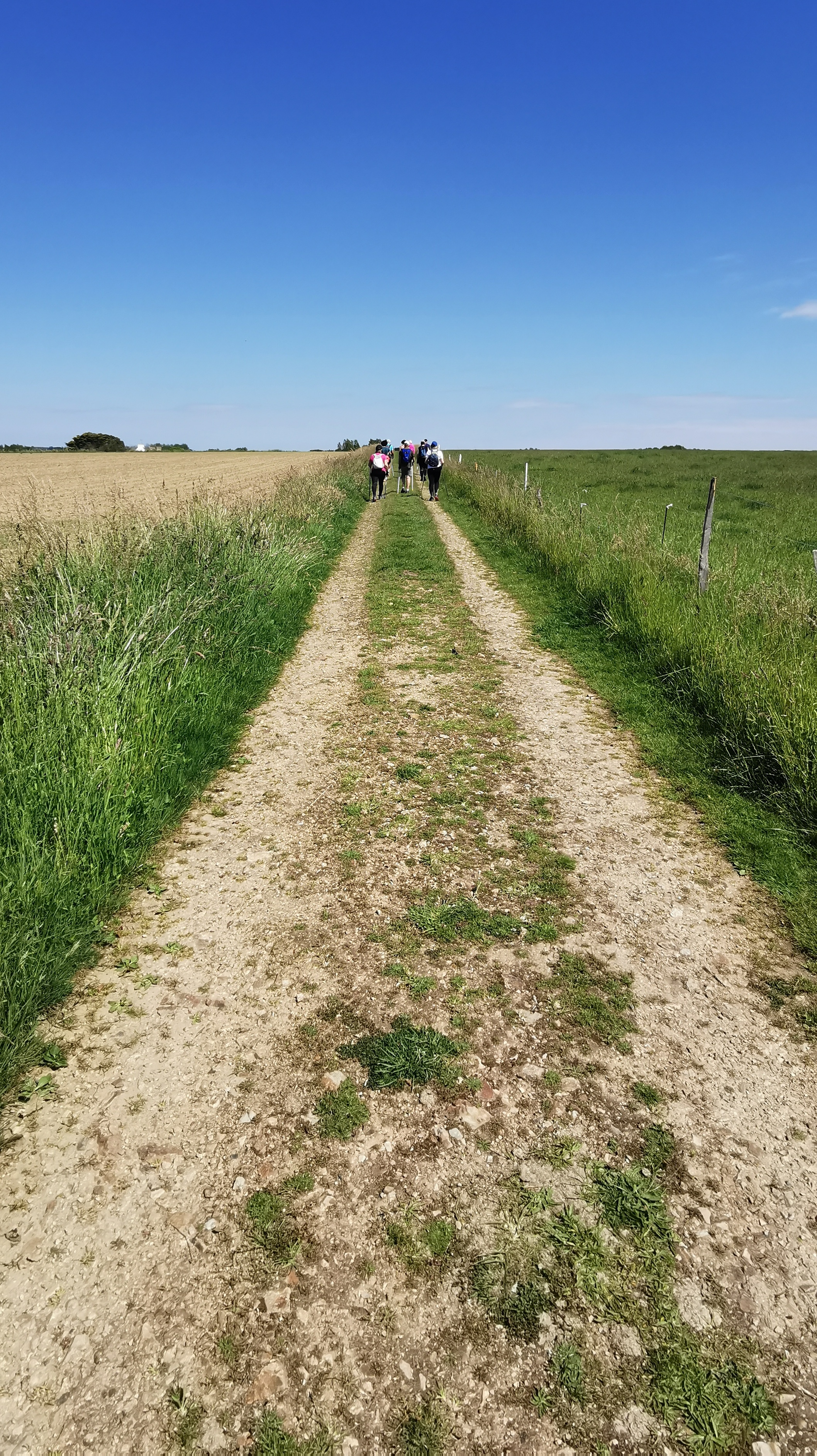 78-IMG_20210530_115914