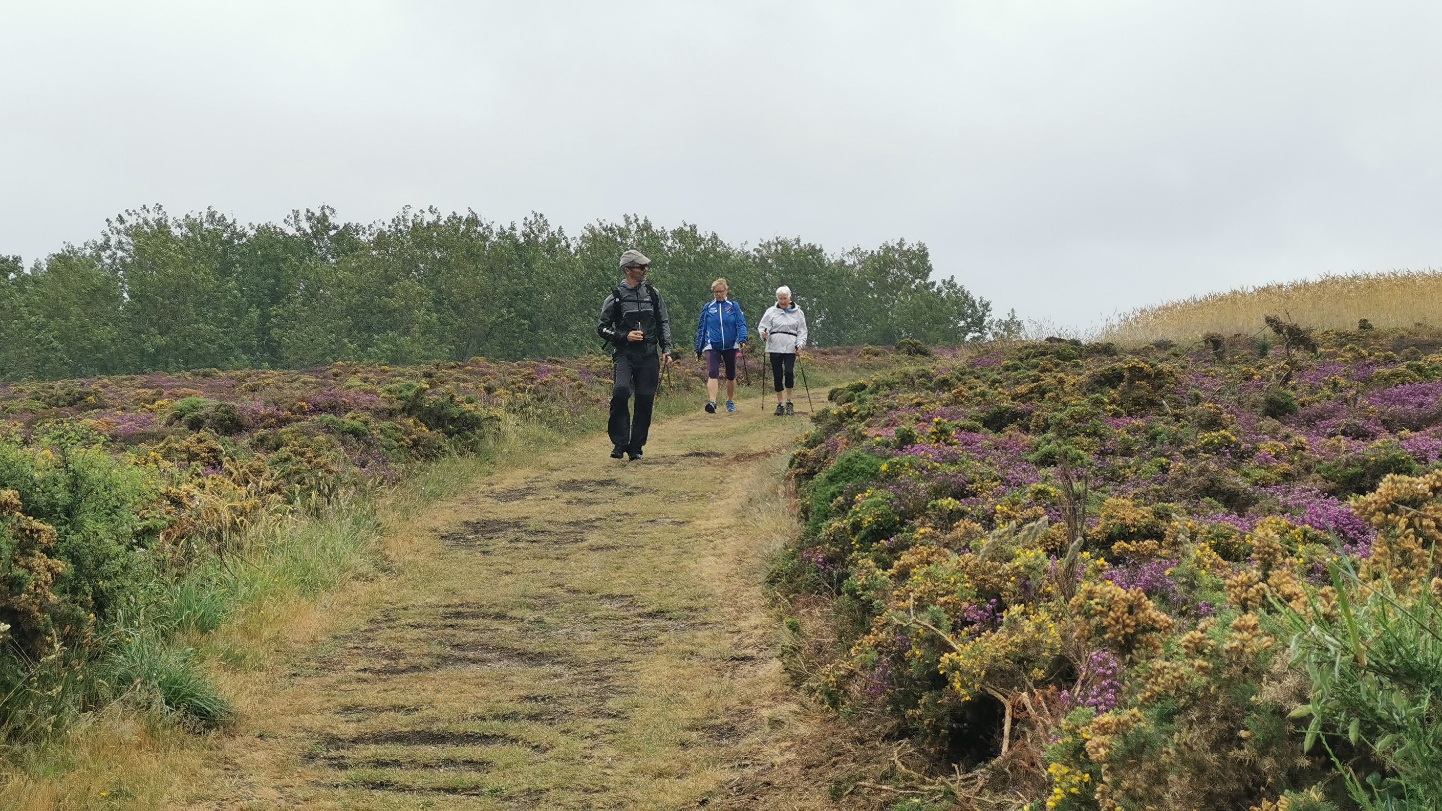 176-IMG_20210620_115114_1