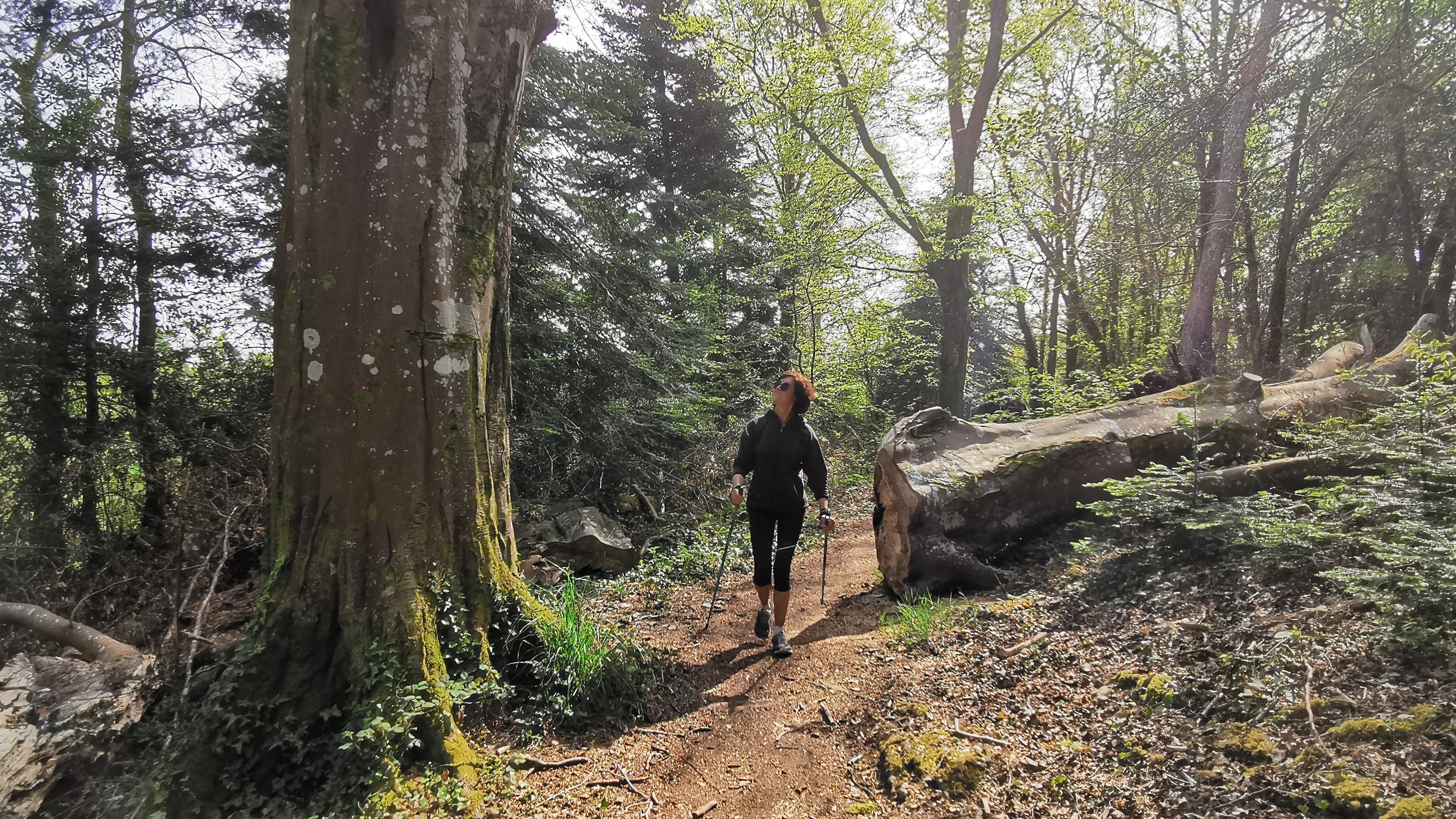 85-IMG_20210425_113107