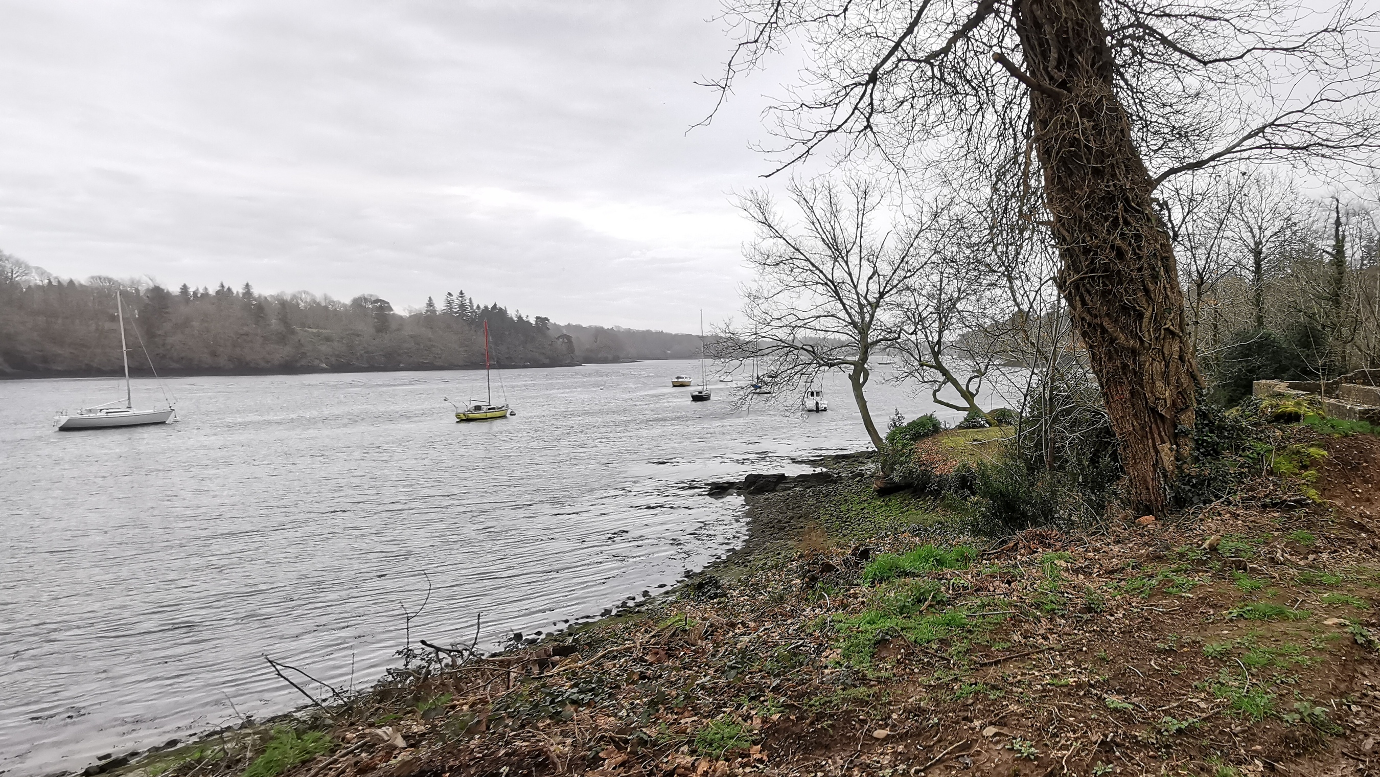 140-IMG_20210220_123738