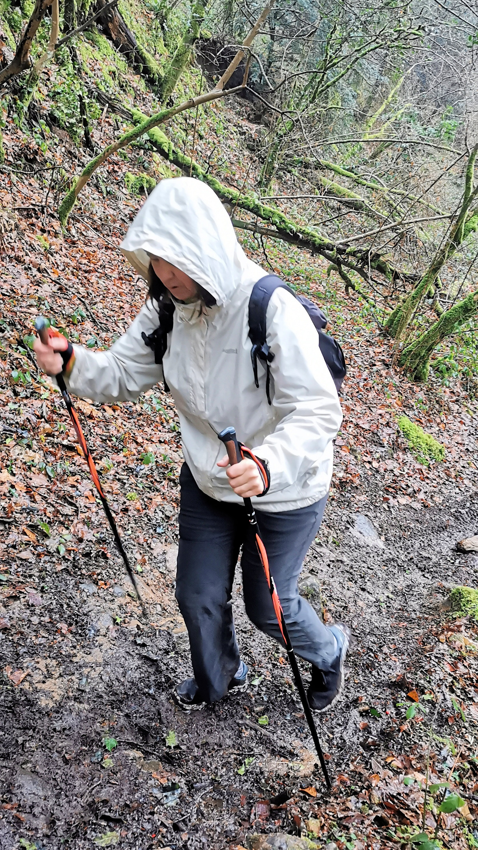 24-IMG_20210214_111415_1