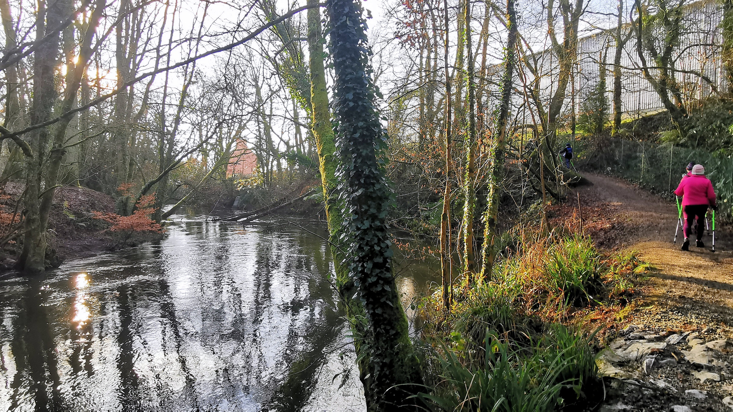 13-IMG_20210105_110805