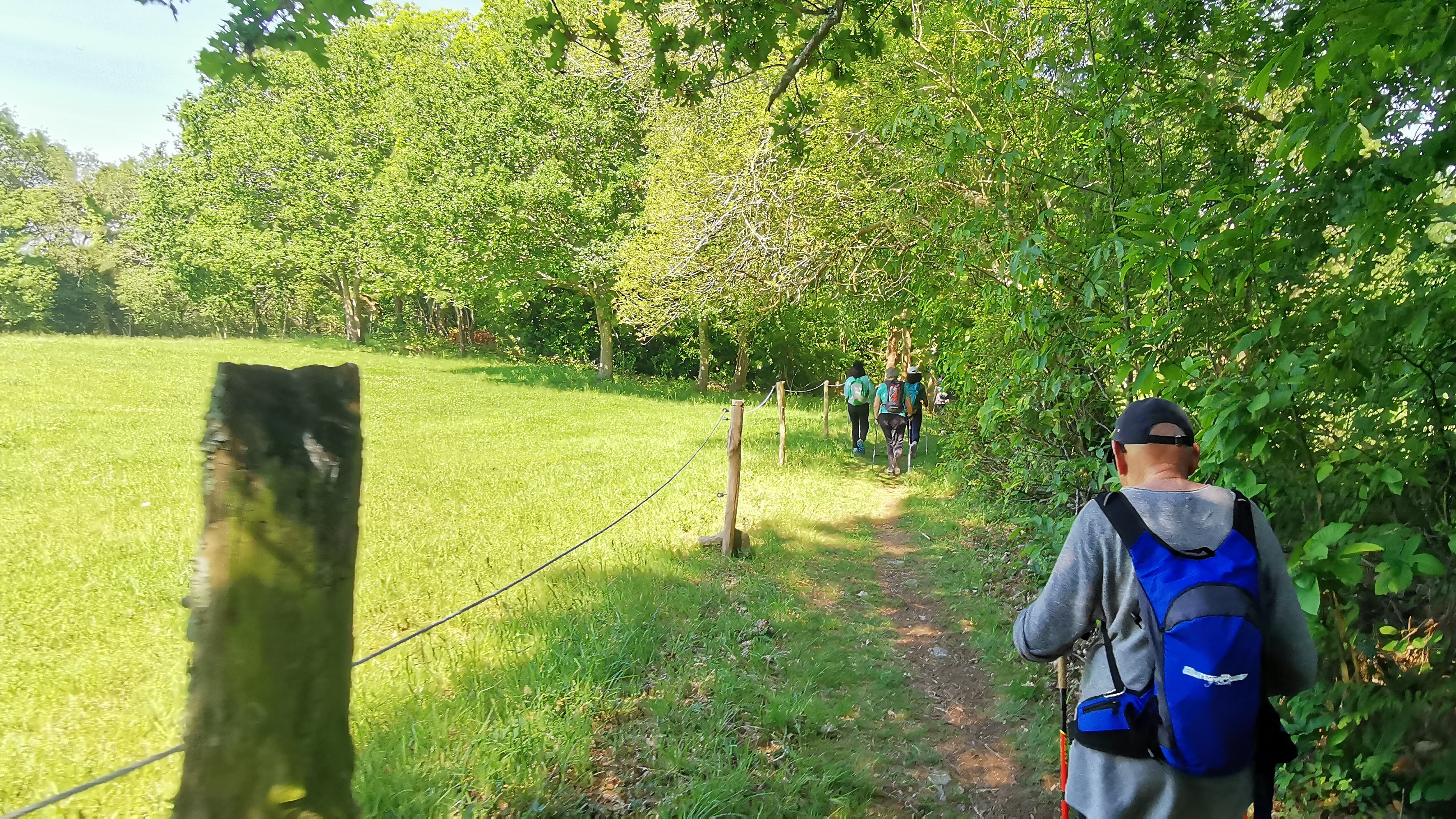 46-IMG_20210531_111423