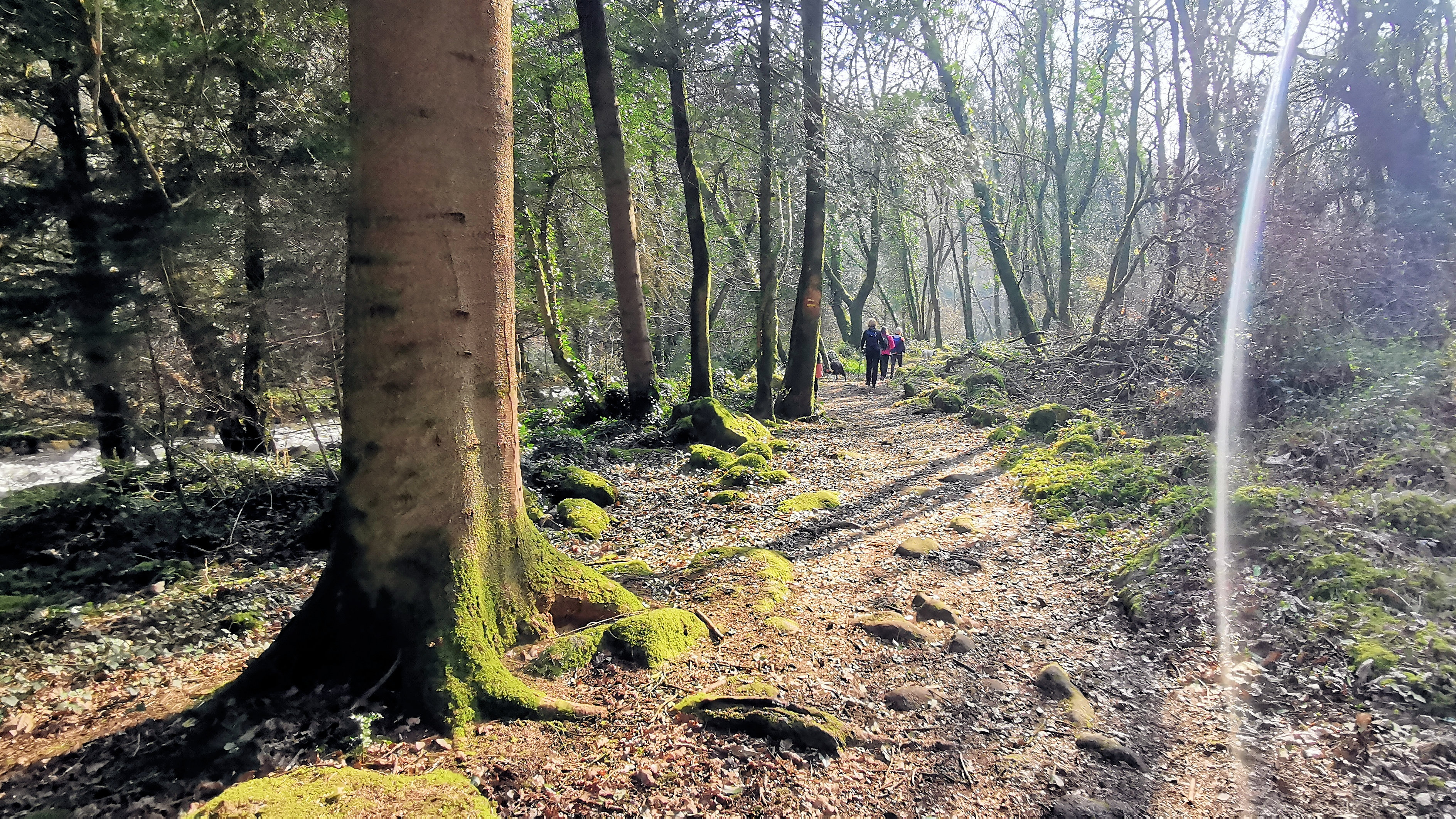 74-IMG_20210307_110222