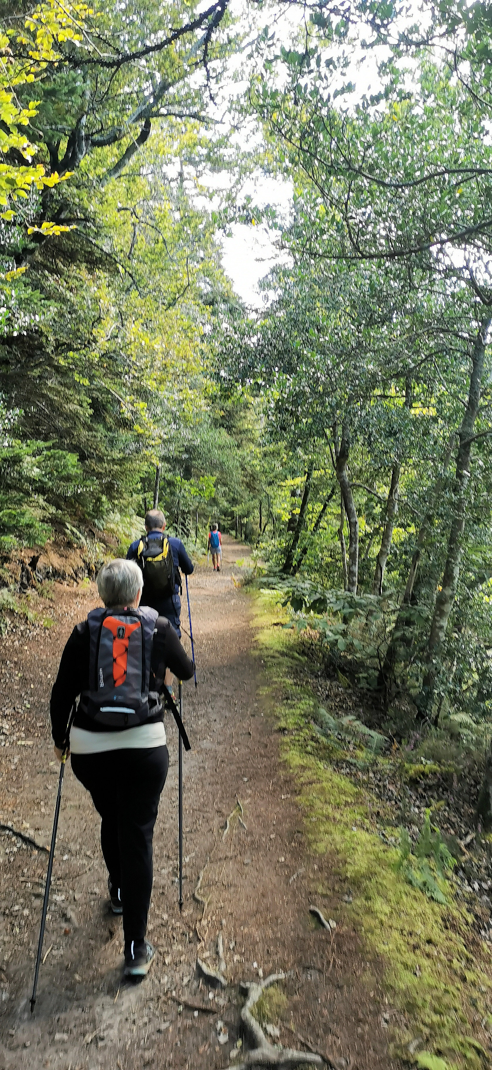 036-IMG_20210816_113537