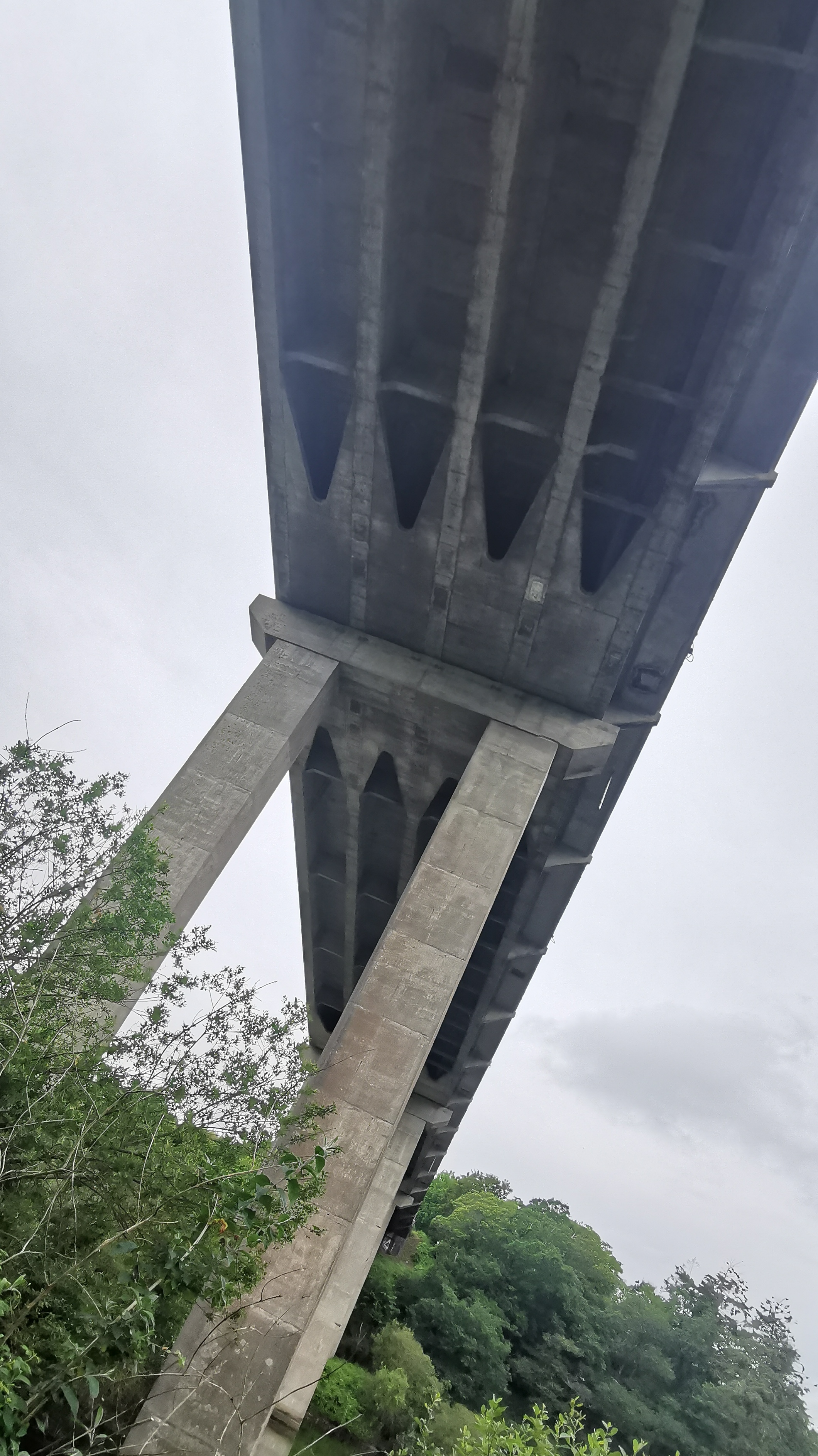 053-IMG_20210606_104449