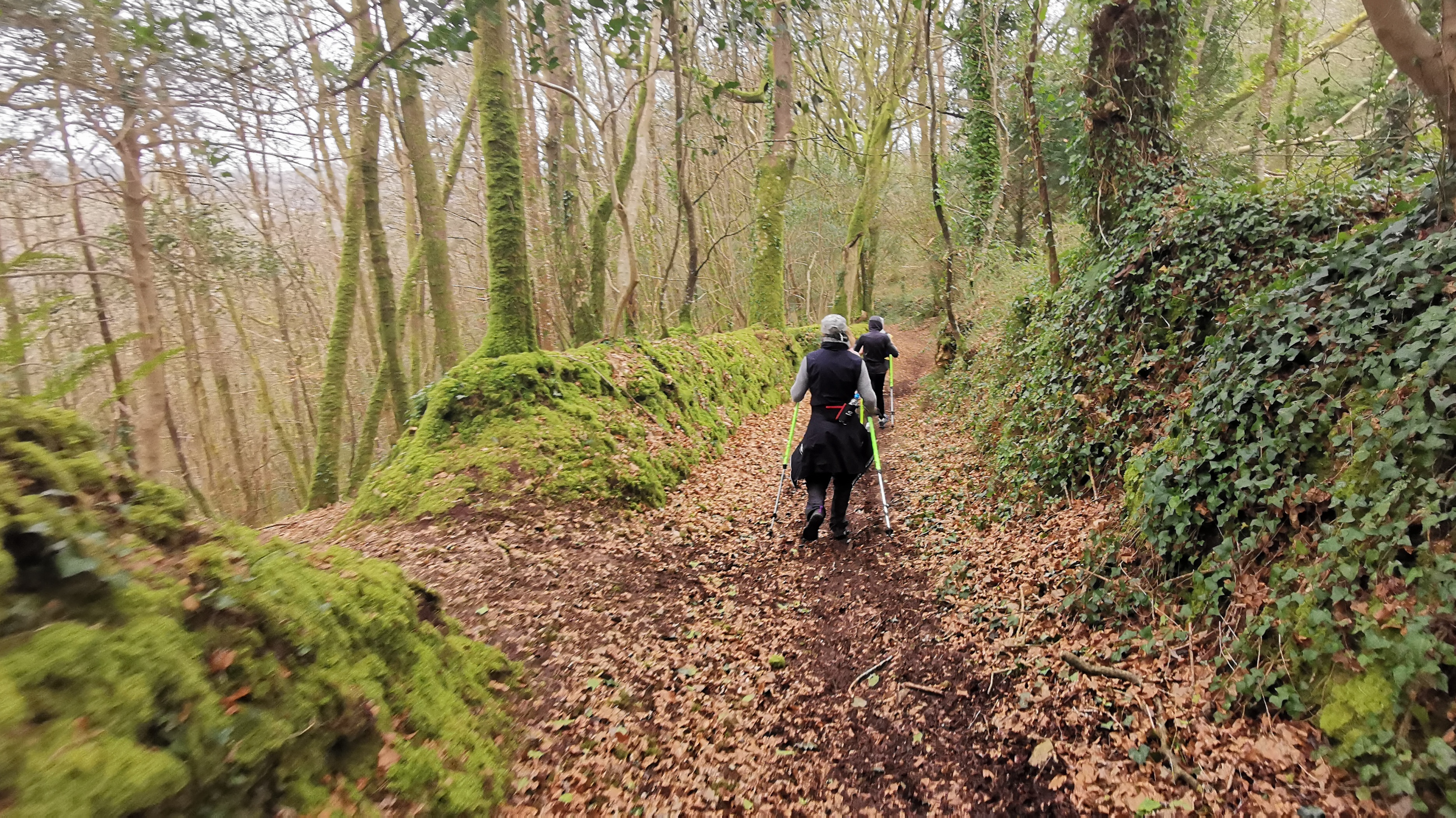 34-IMG_20210316_104548