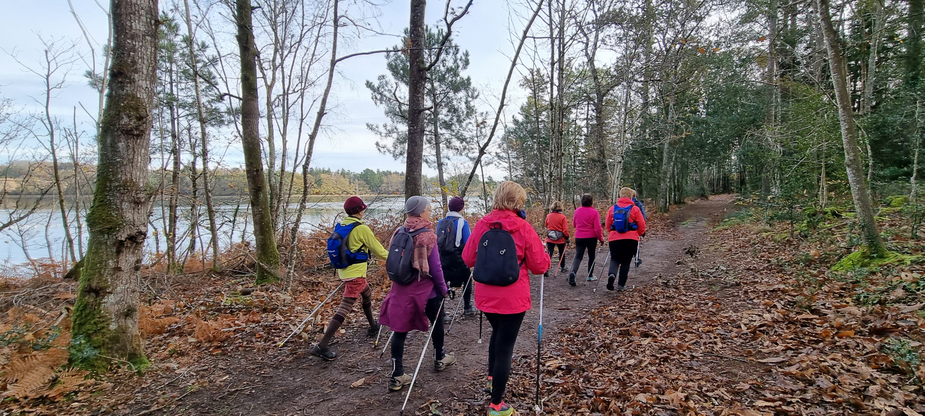 55-20211129_111240(0)