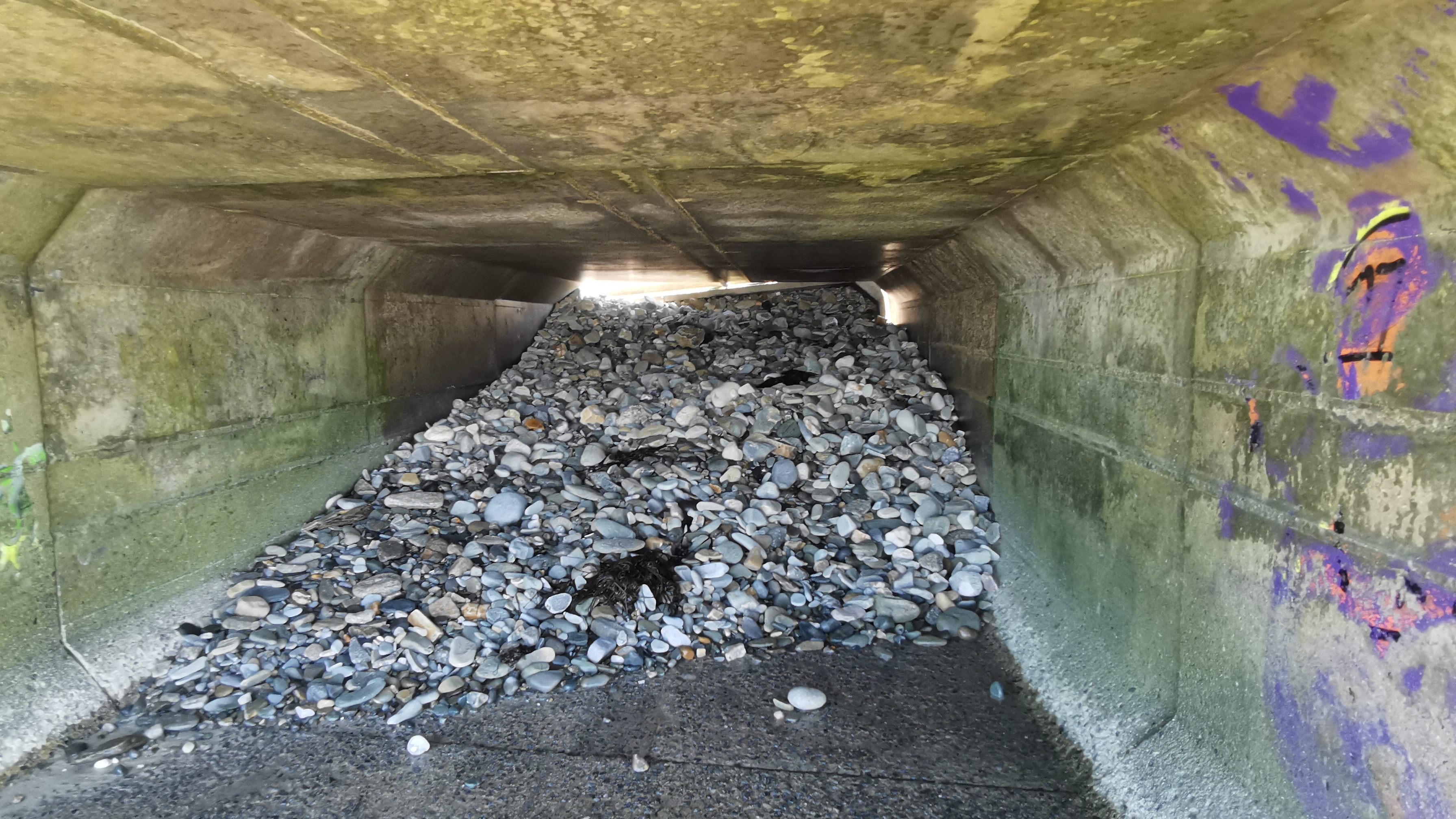 27-IMG_20210530_103534