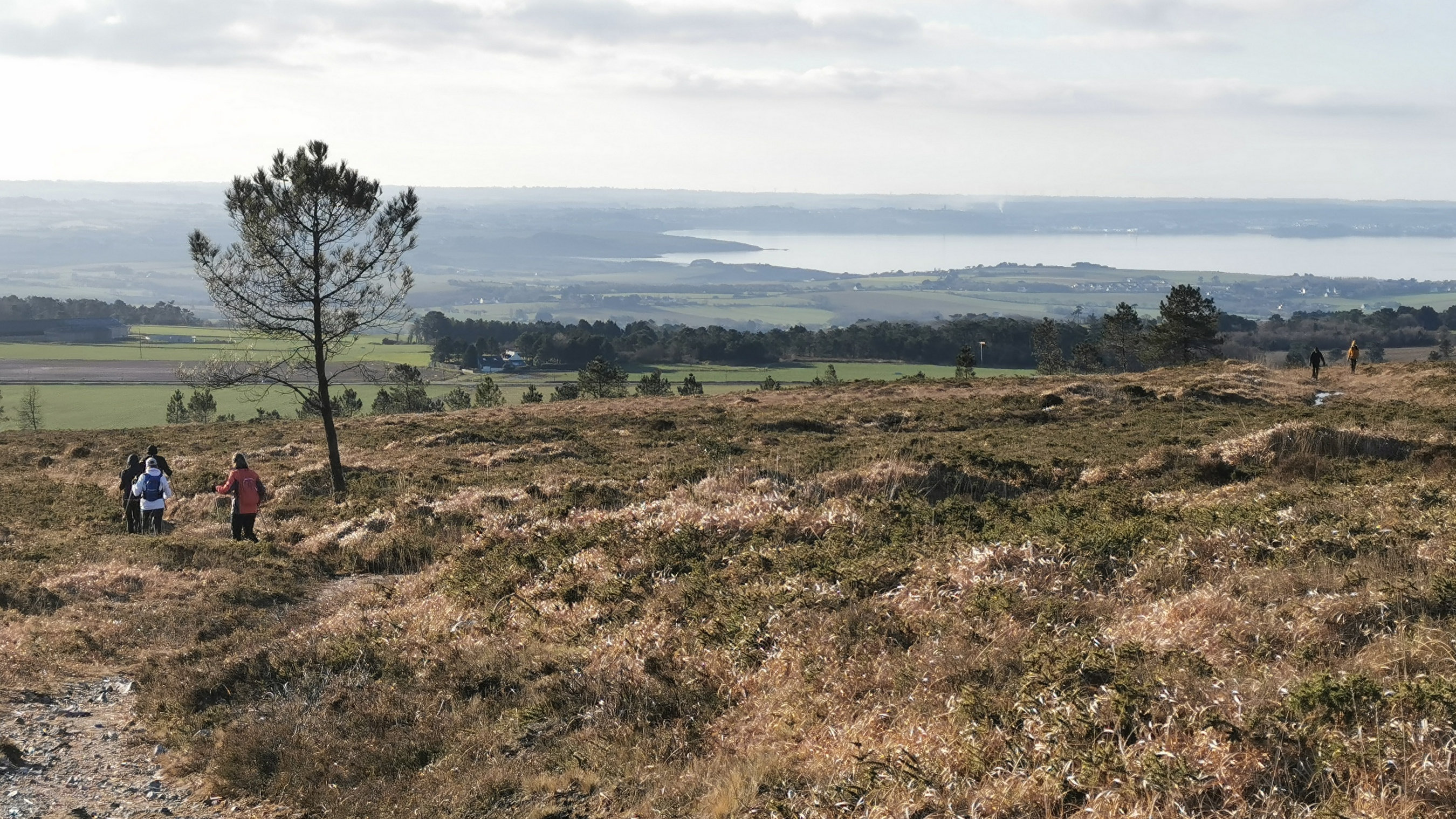 140-IMG_20210110_113220