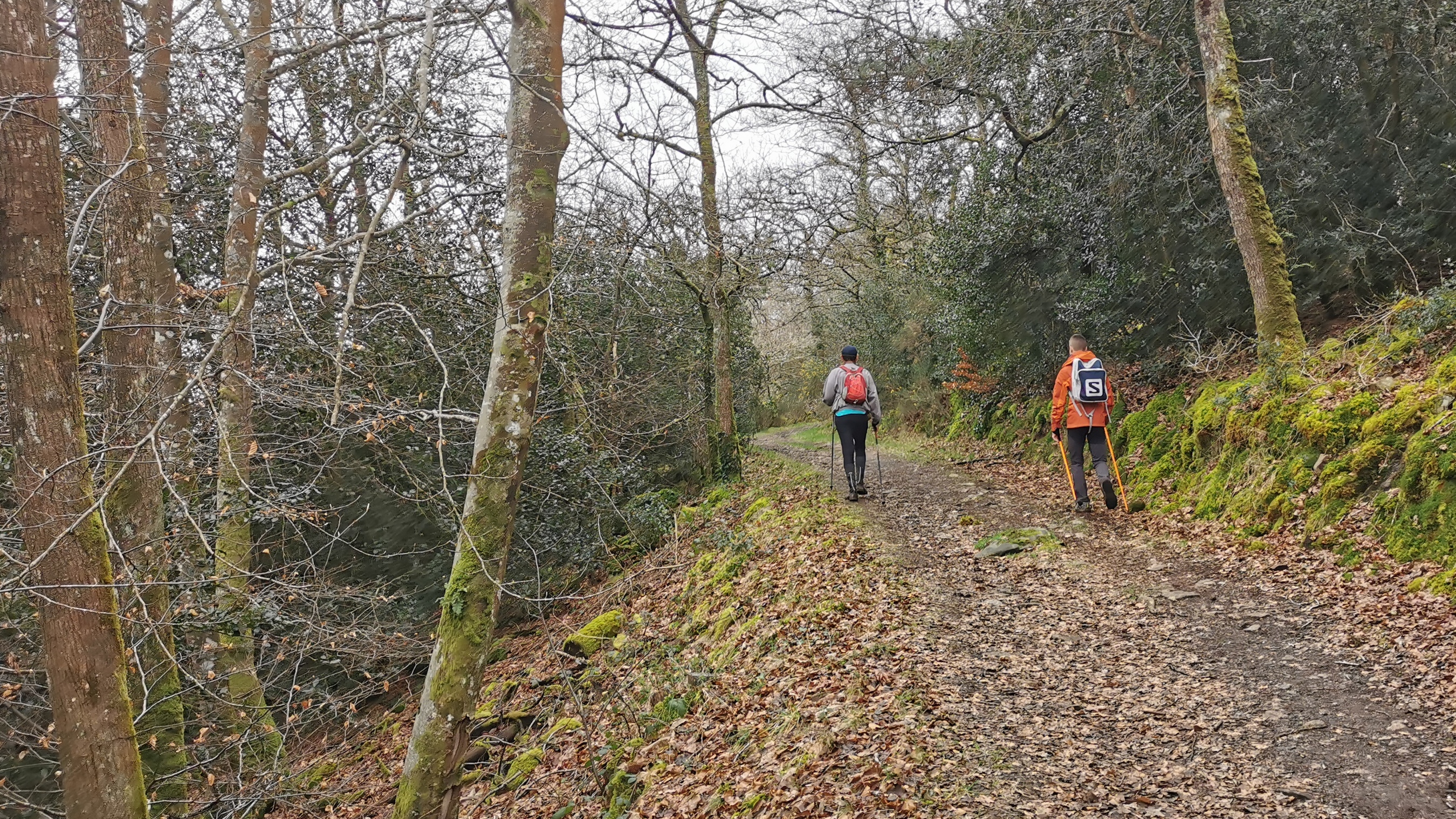 139-IMG_20210220_122716