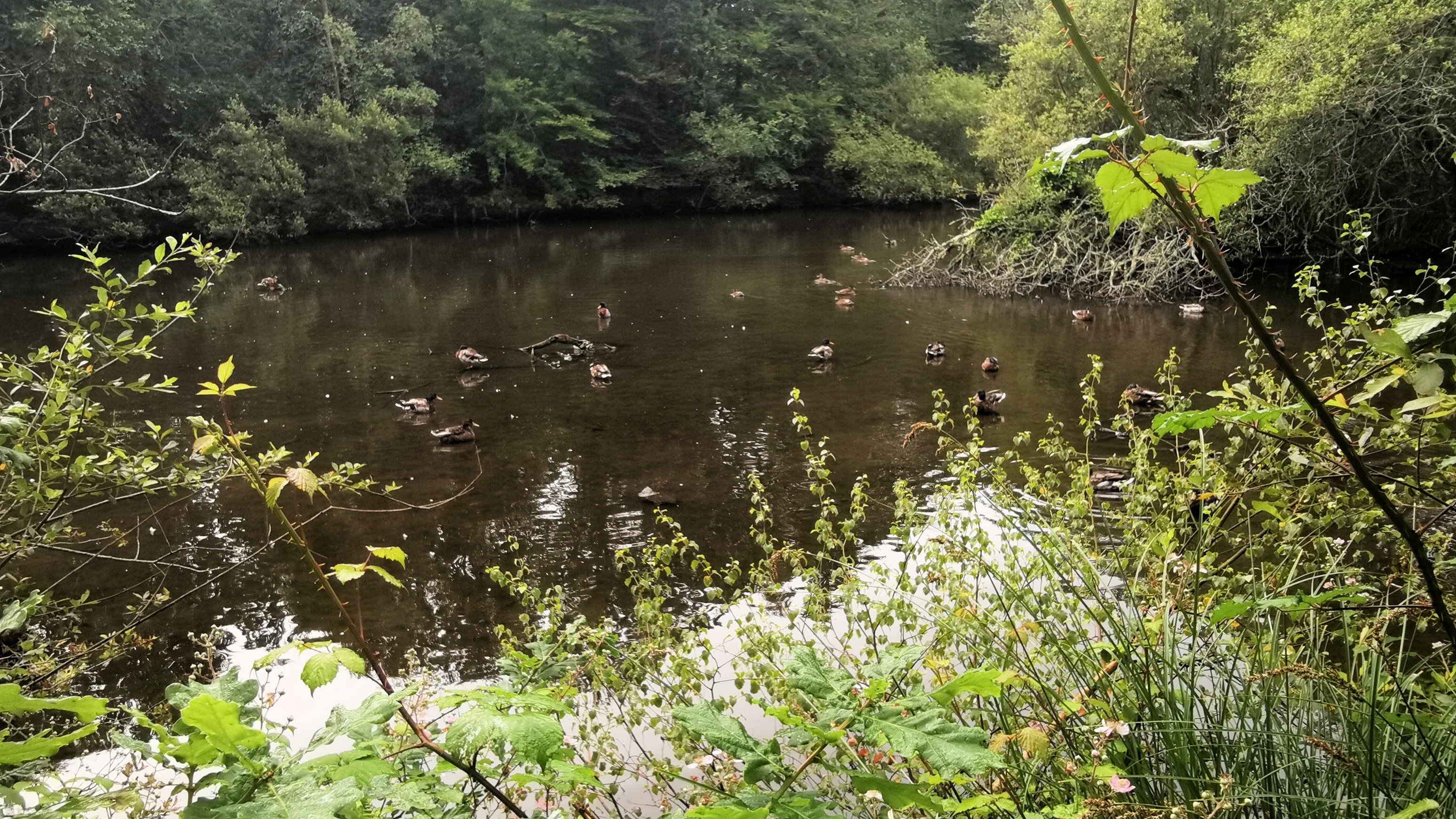 10-IMG_20210628_102539