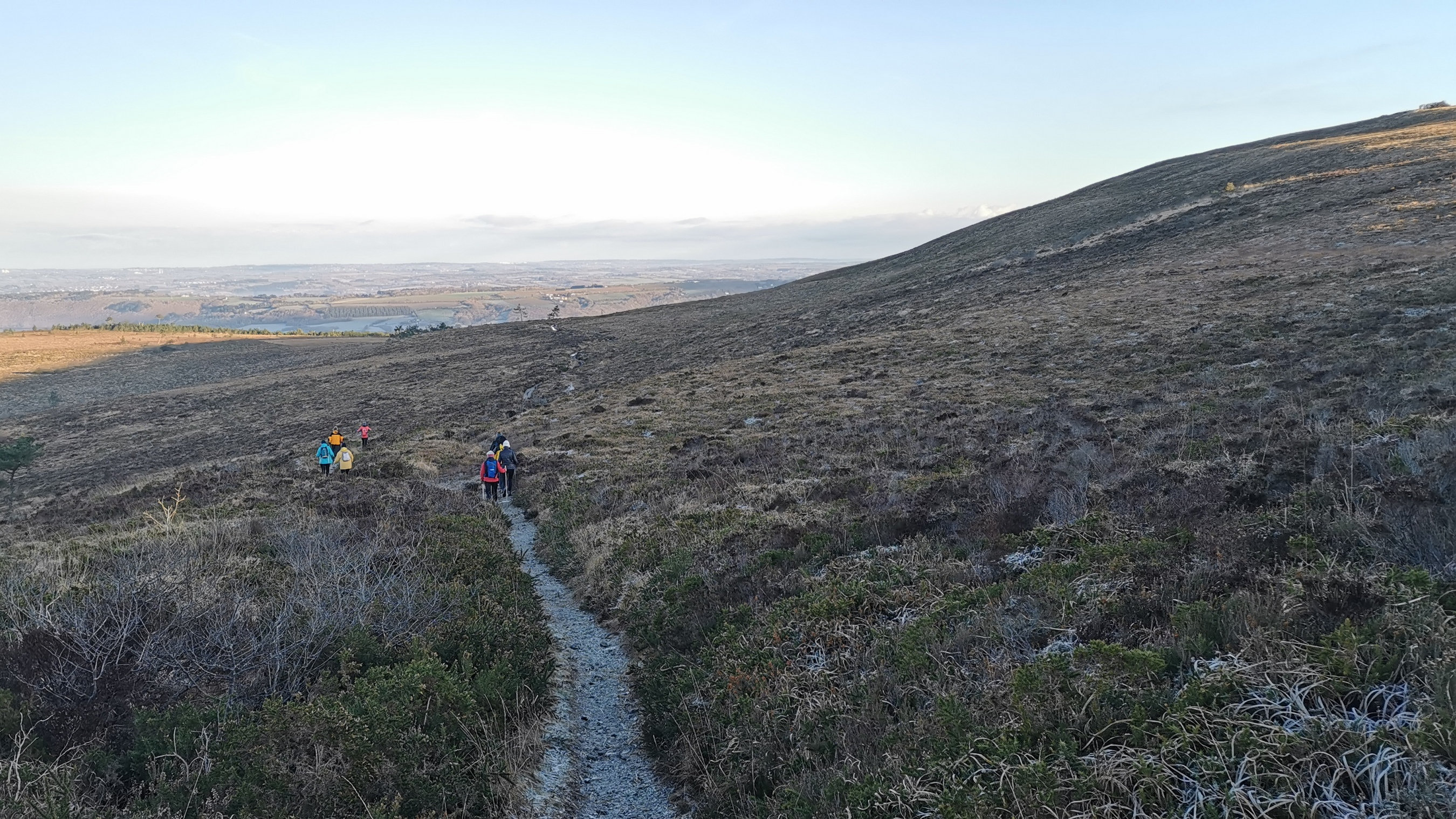 033-IMG_20210110_101638