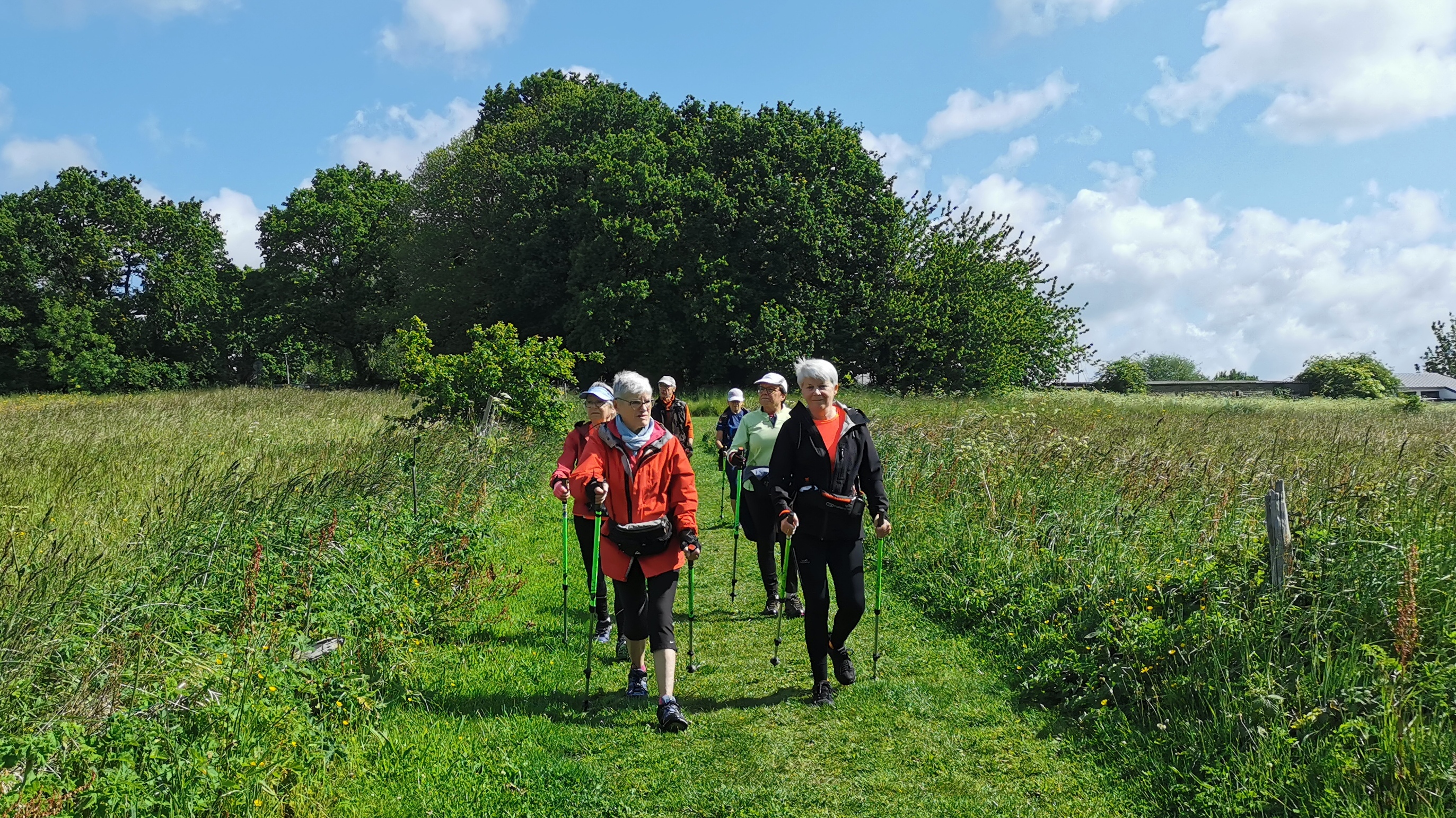 44-IMG_20210525_110334_1