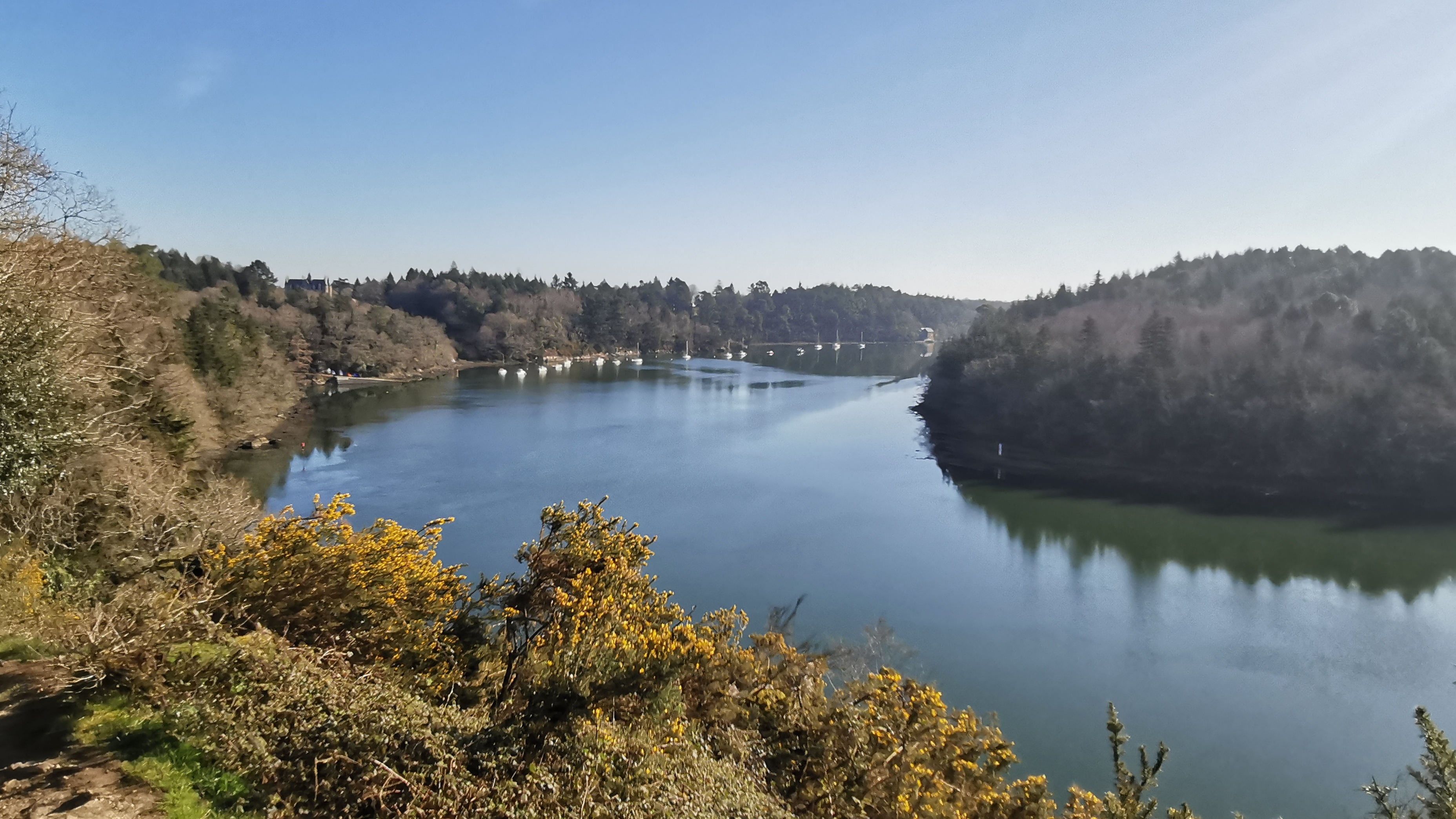 01-IMG_20210320_095130_1