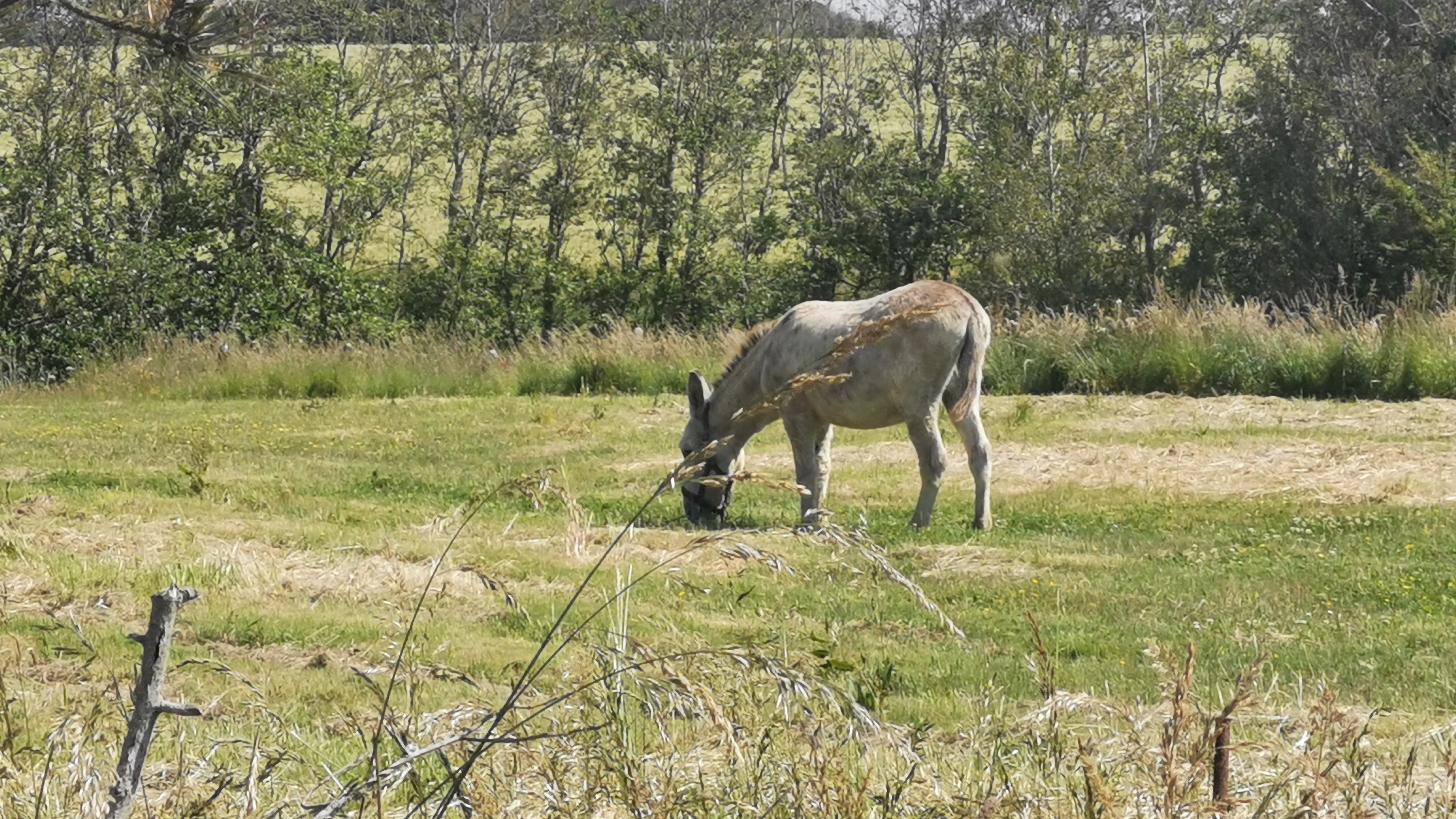 67-IMG_20210530_114331