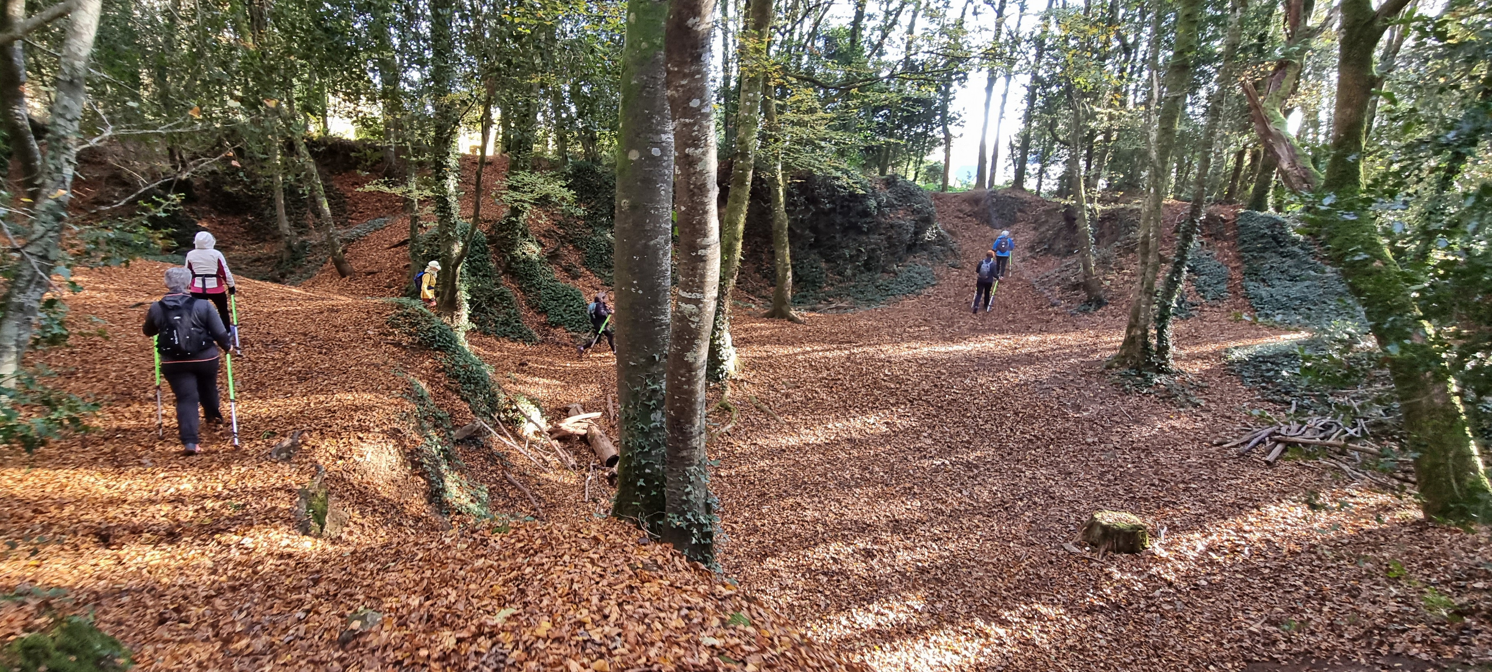 44-20211123_110353(0)