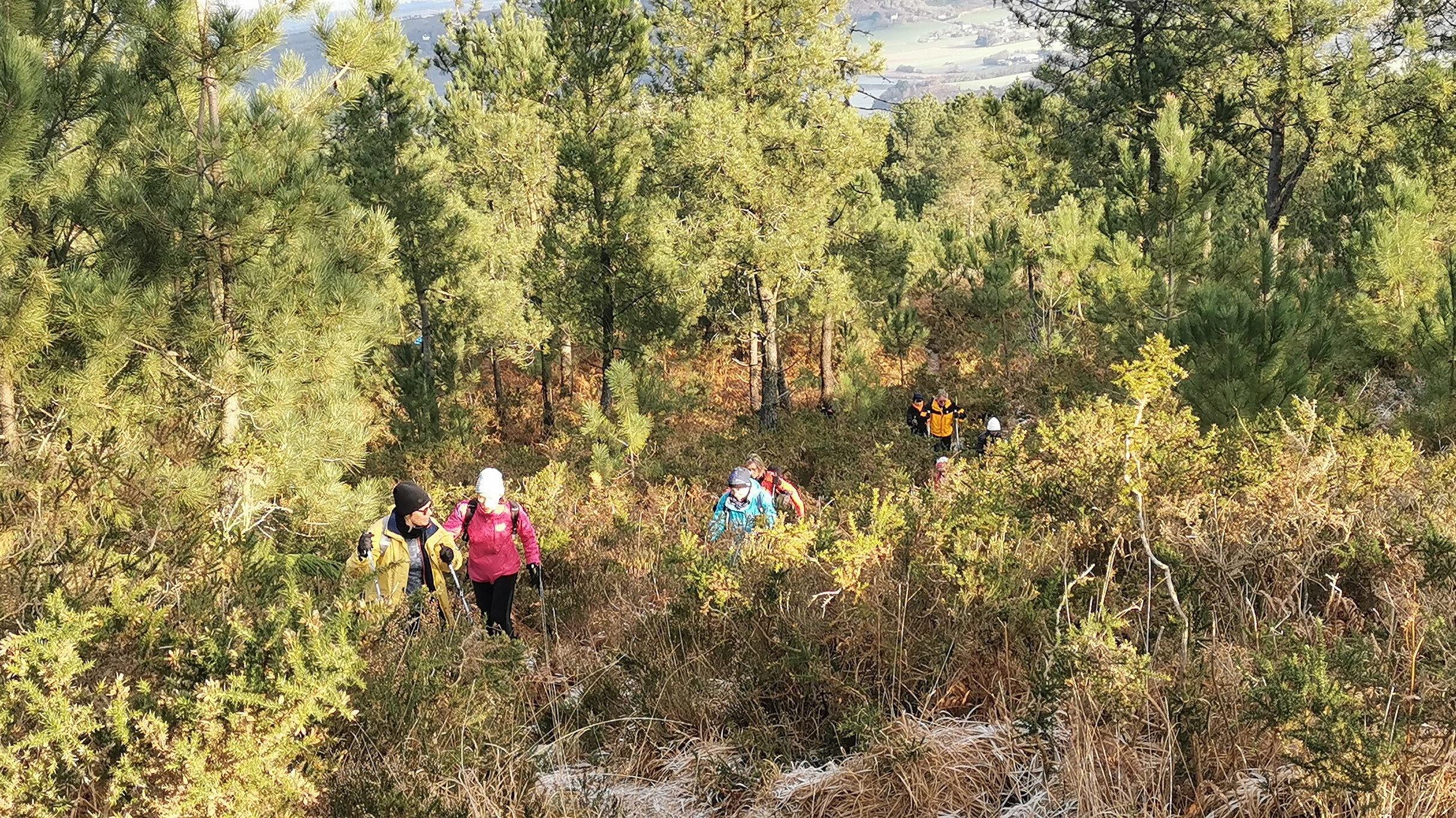 089-IMG_20210110_105521