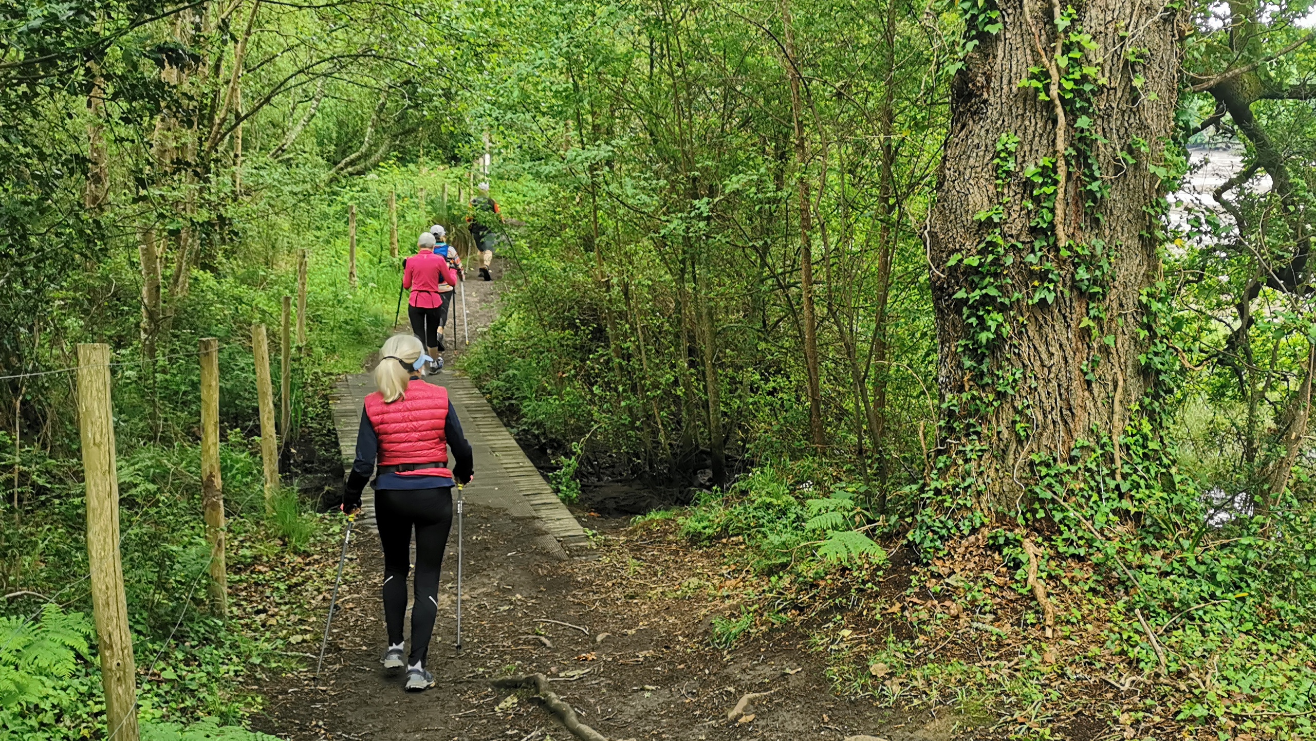 02-IMG_20210527_093957