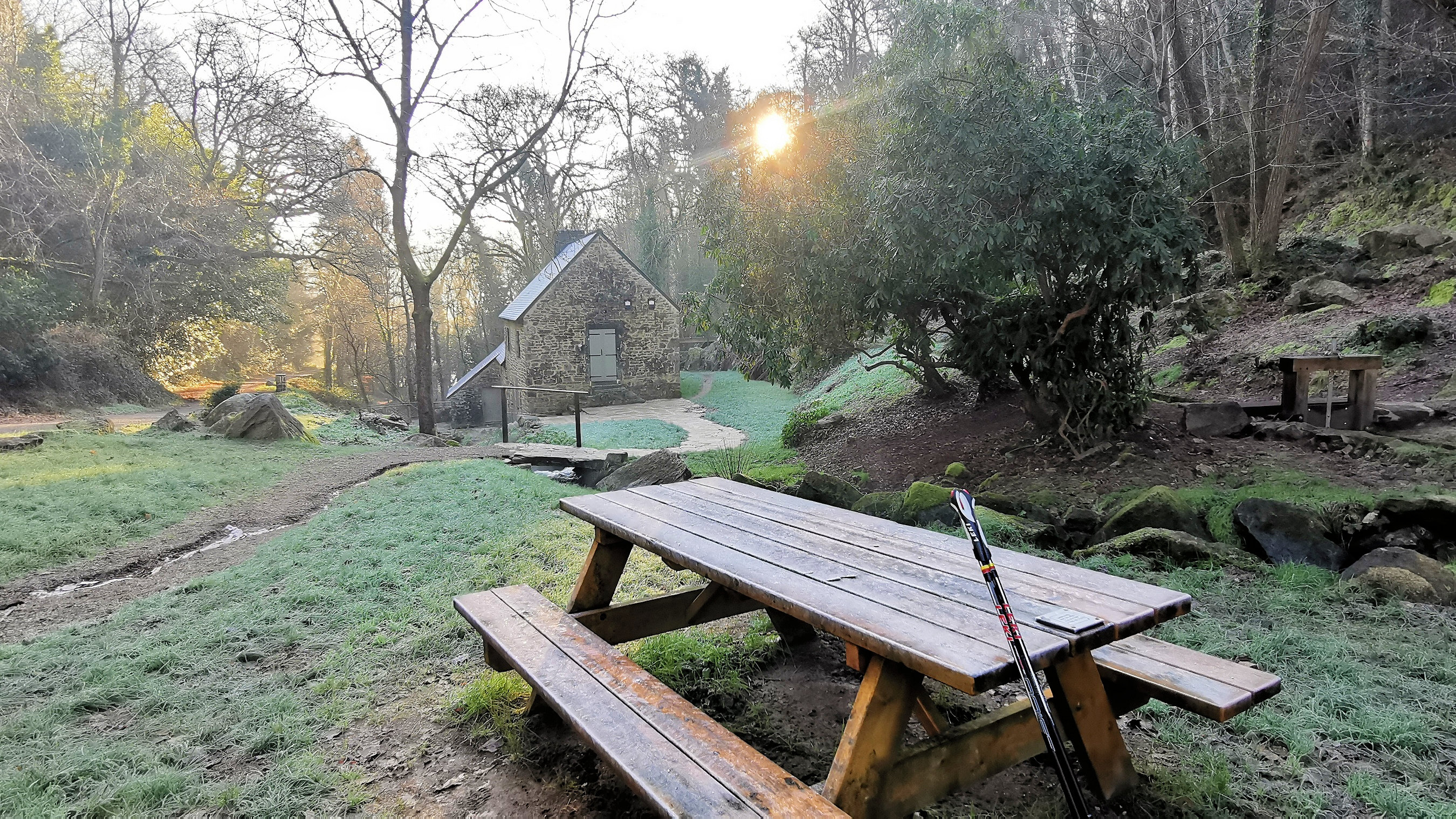 12-IMG_20210109_103357