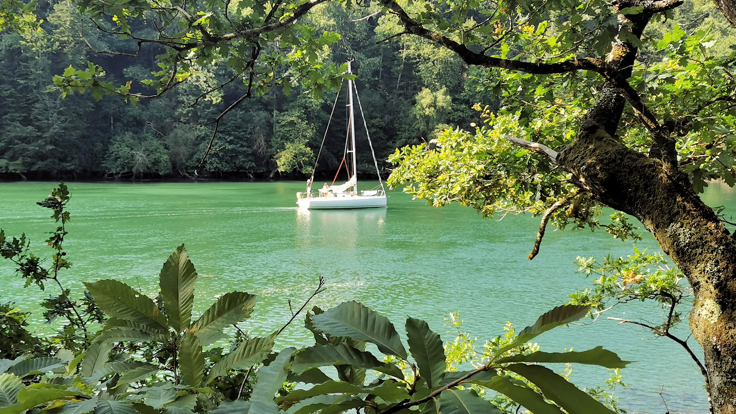 035-IMG_20210816_113508