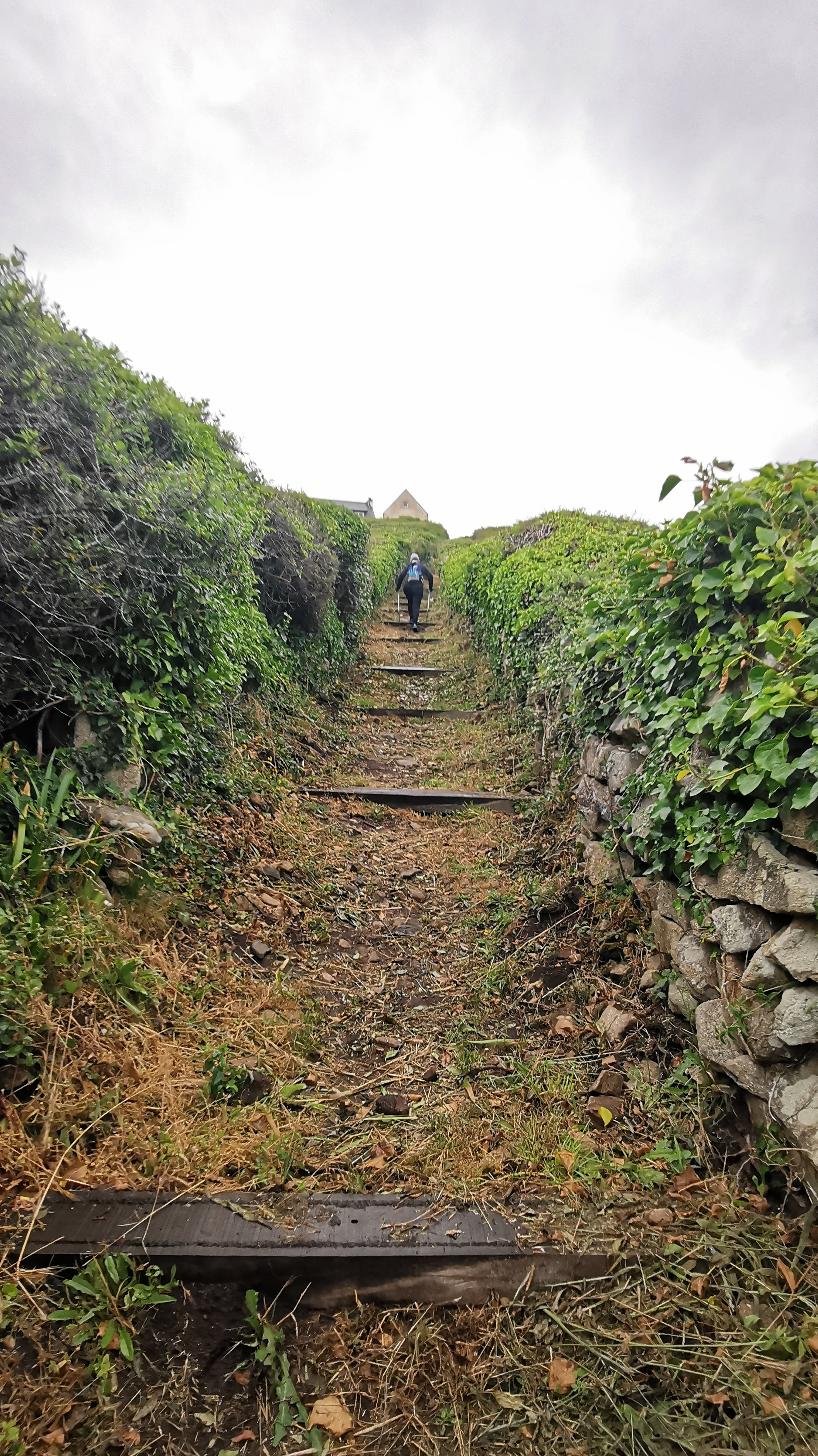 056-IMG_20210620_101021_1