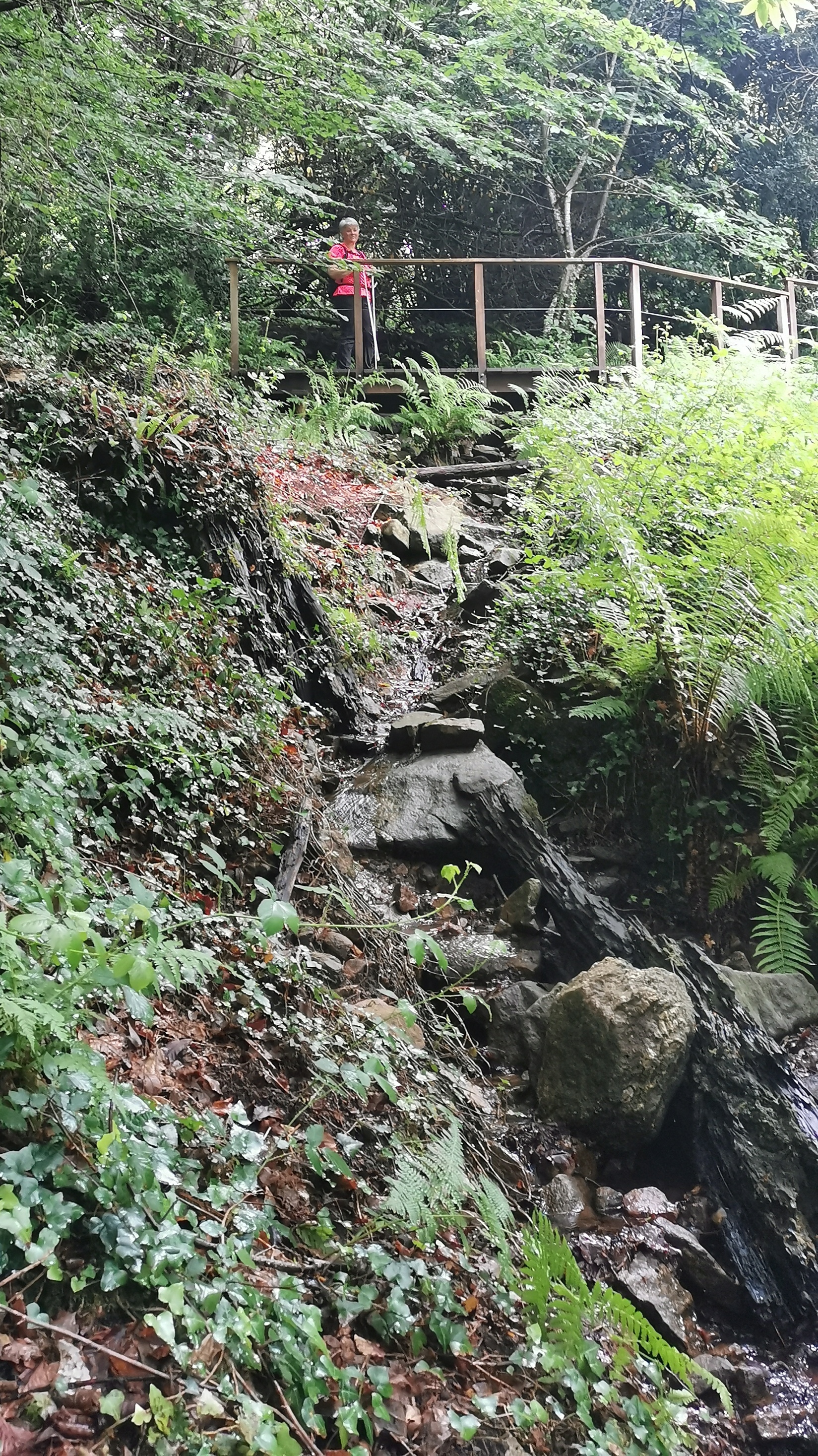 35-IMG_20210617_110855