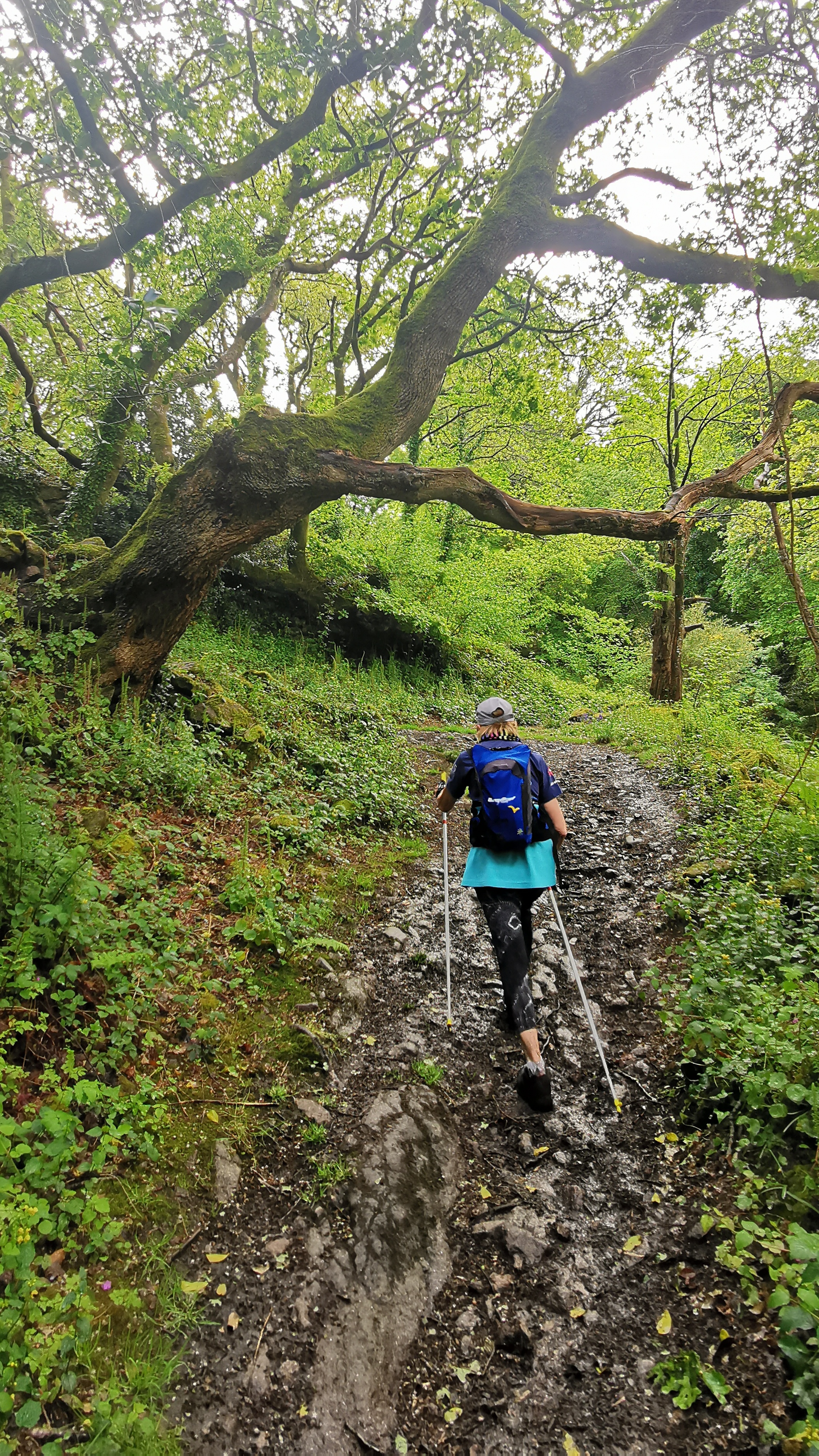 061-IMG_20210513_103406