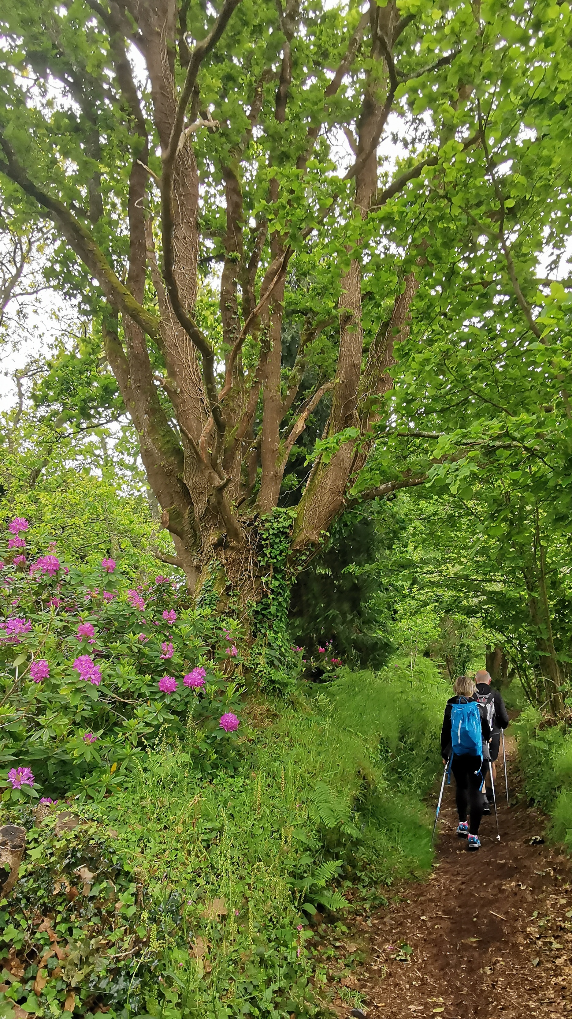 44-IMG_20210527_112846