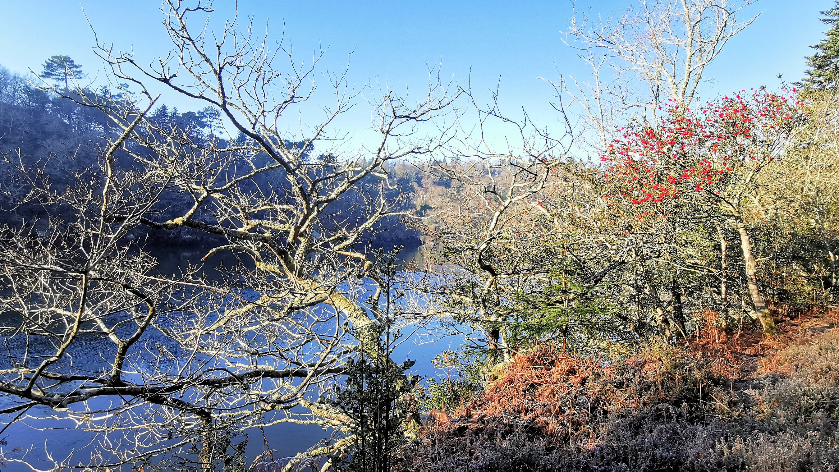 35-IMG_20210109_105342