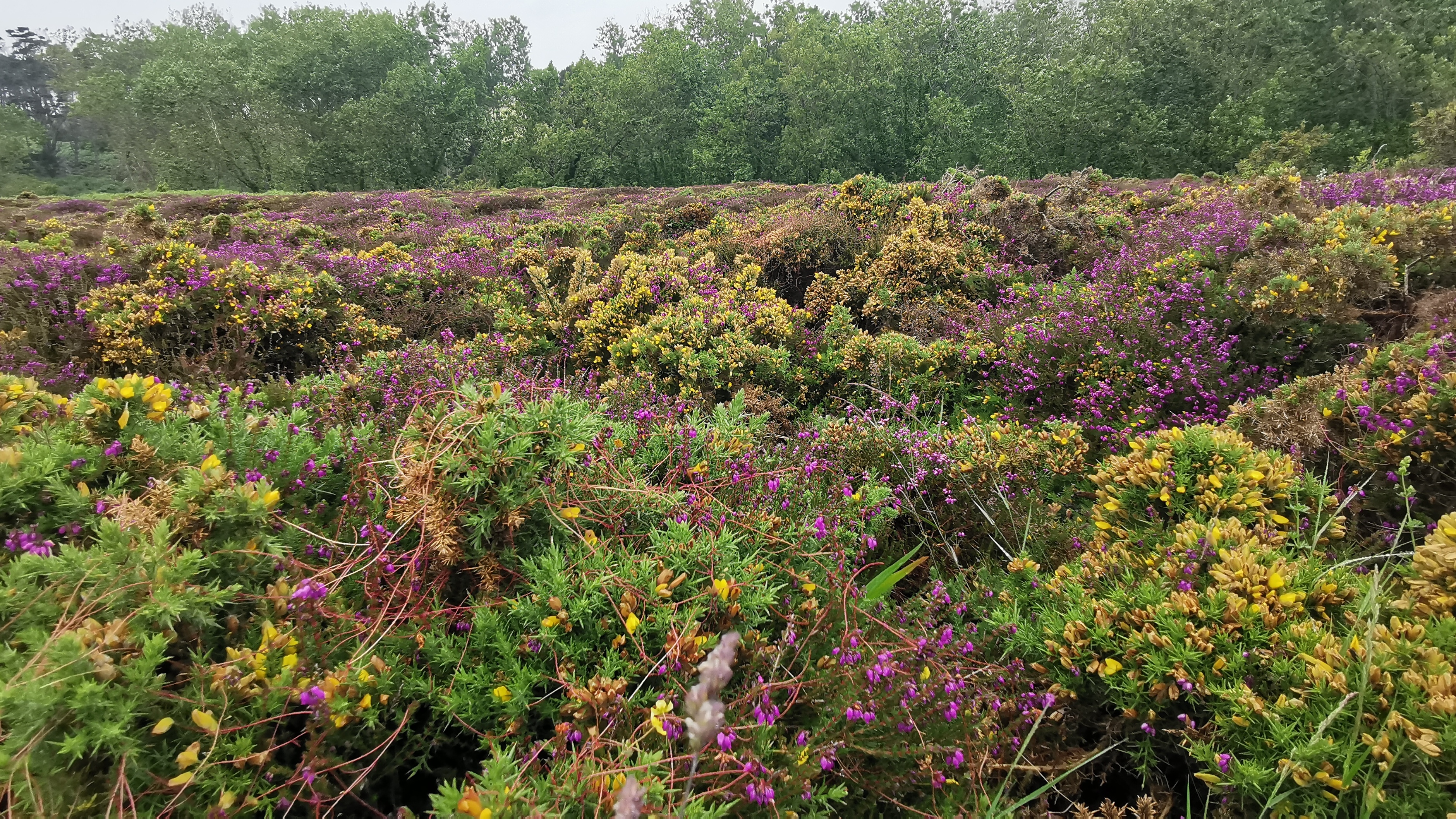 169-IMG_20210620_114943