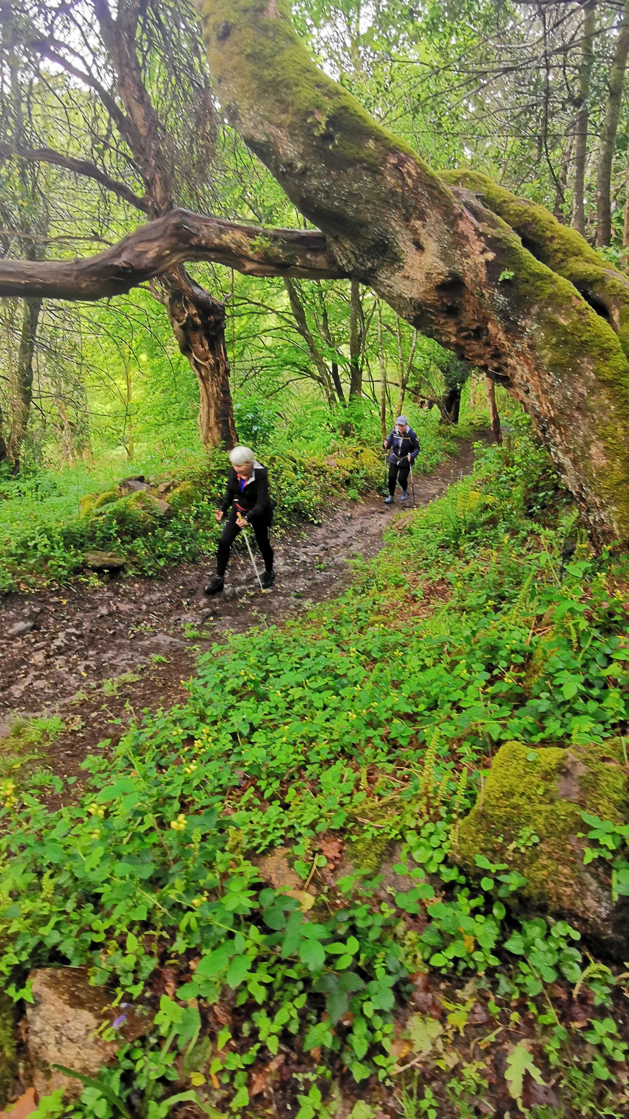 062-IMG_20210513_103421