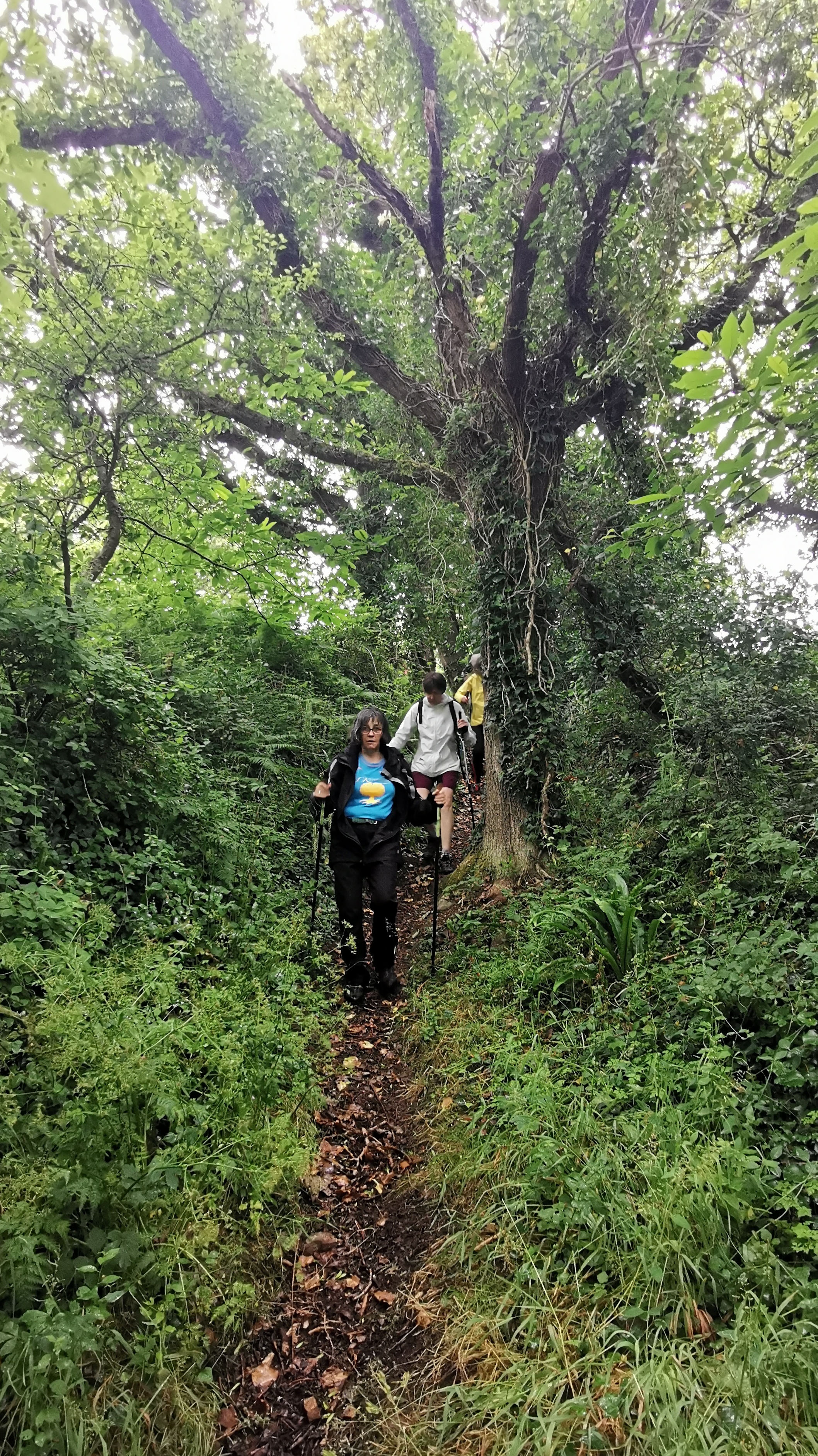 161-IMG_20210620_114619_2