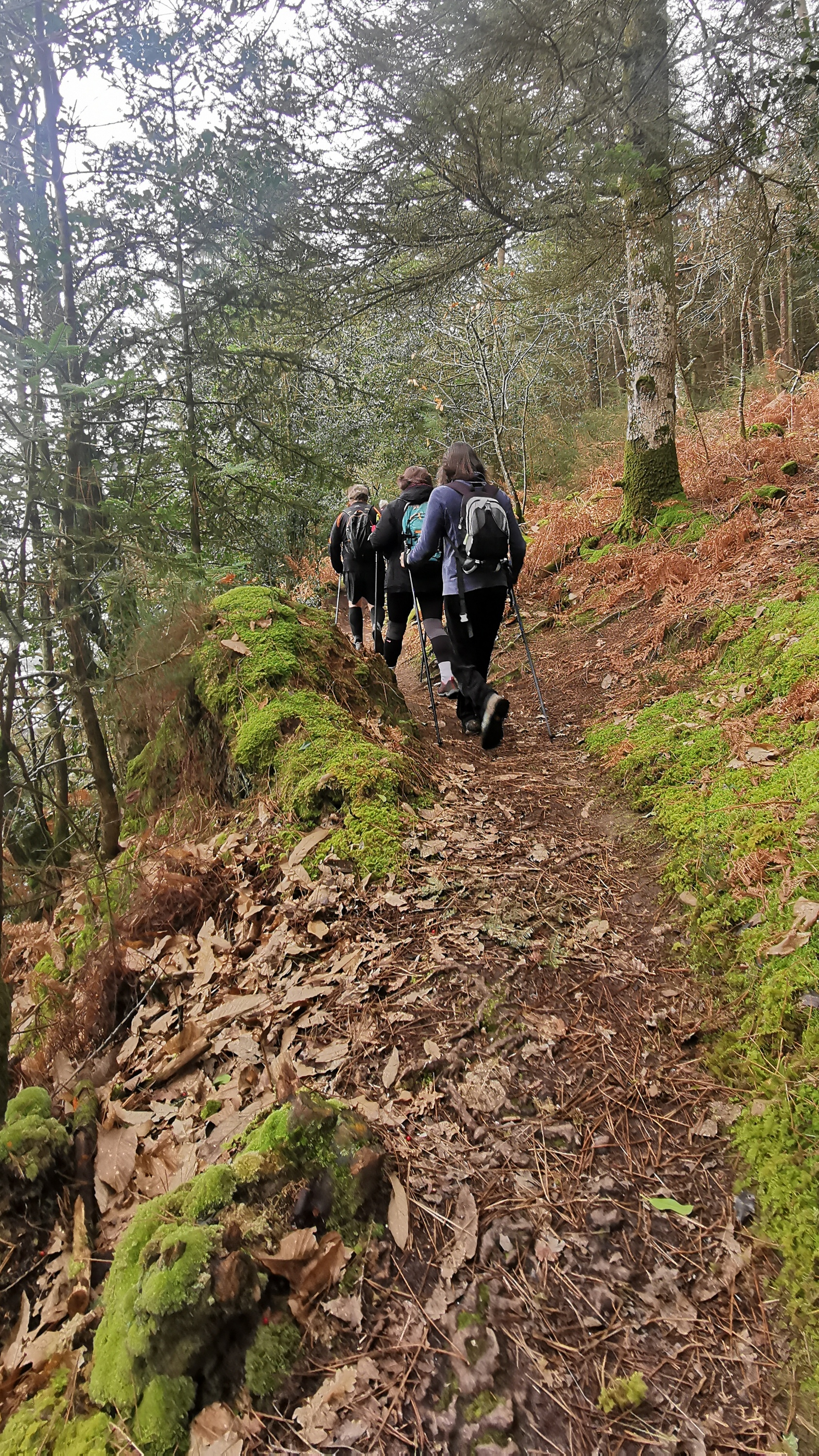 63-IMG_20210304_112230