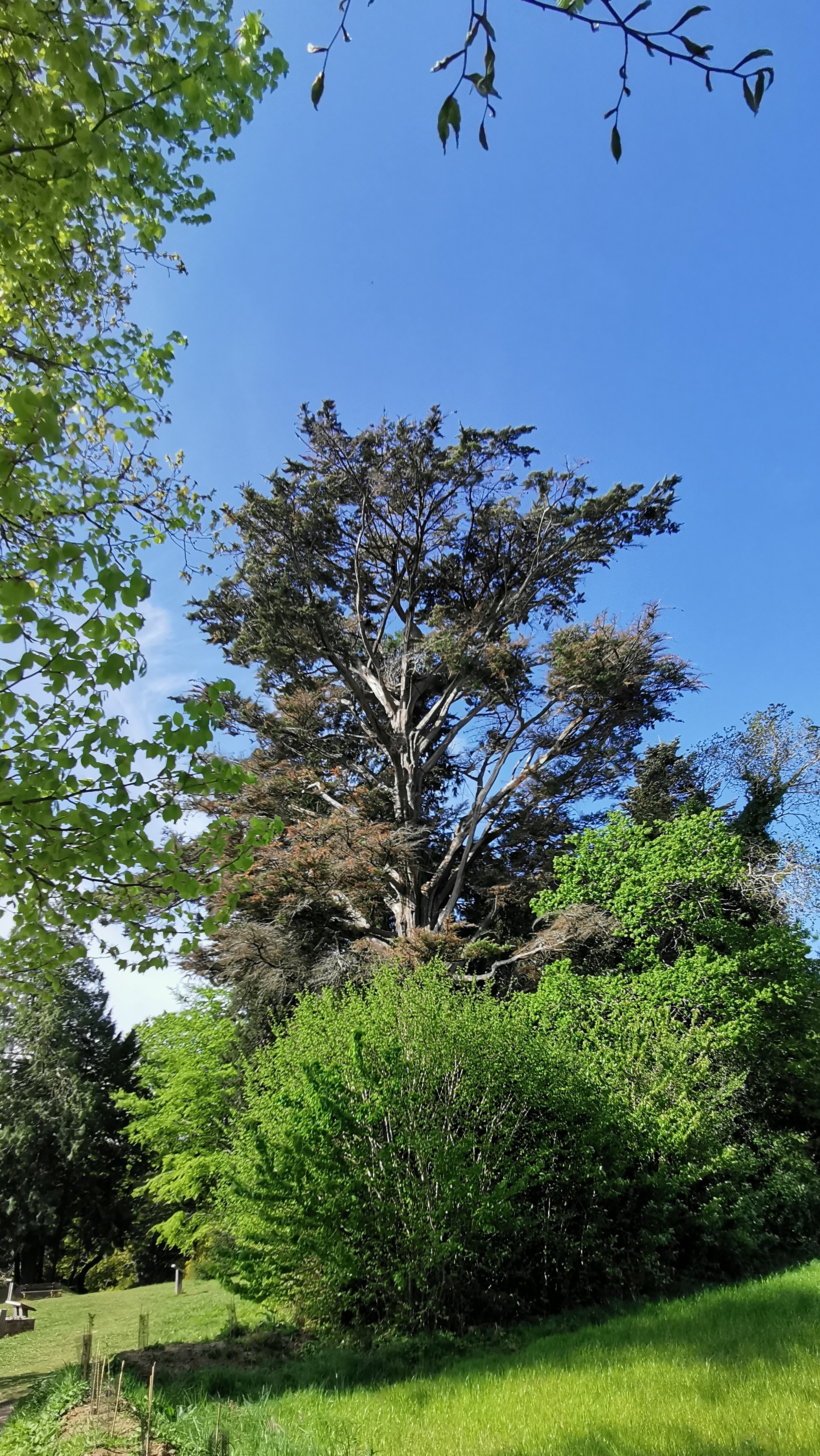 29-IMG_20210426_105228