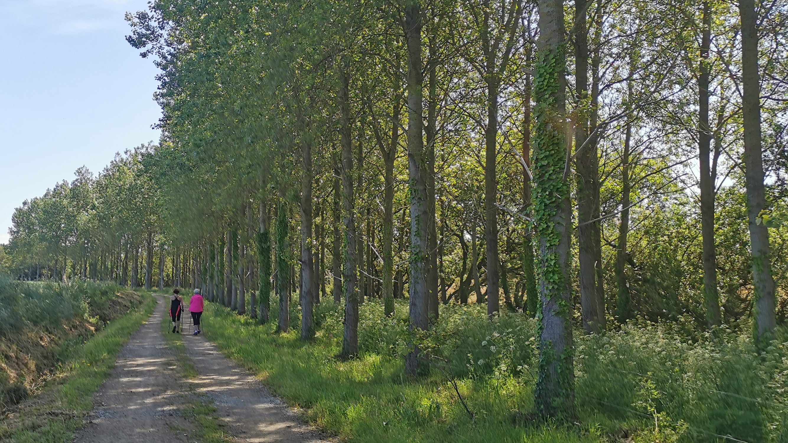 71-IMG_20210530_115300