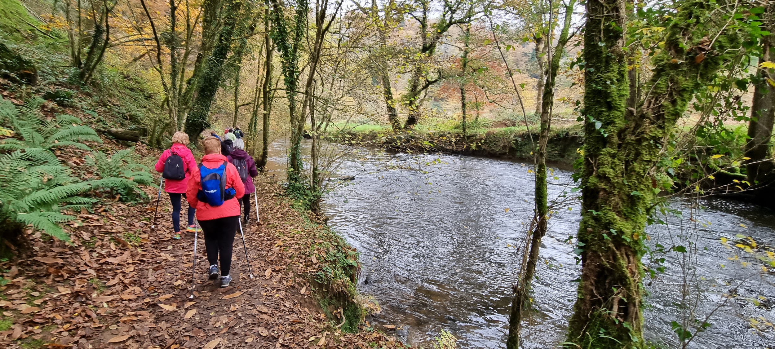 07-20211115_100125(0)